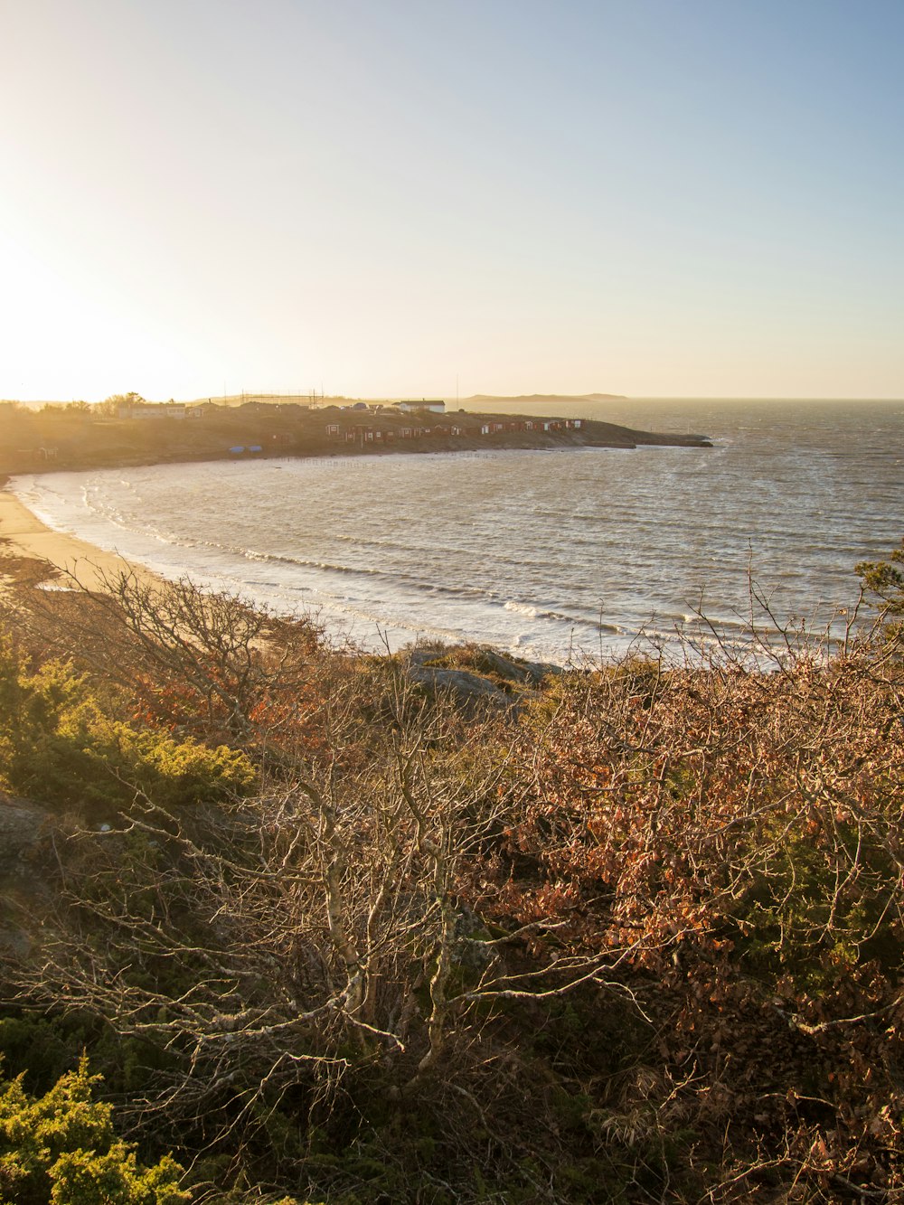 a view of the ocean from a hill