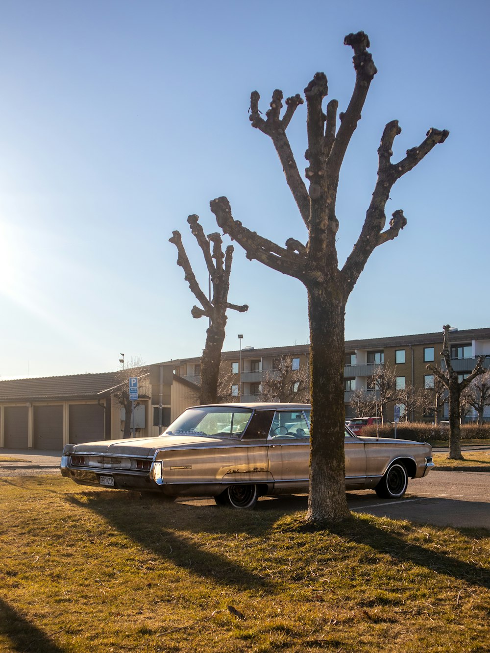 a car parked next to a tree in front of a building