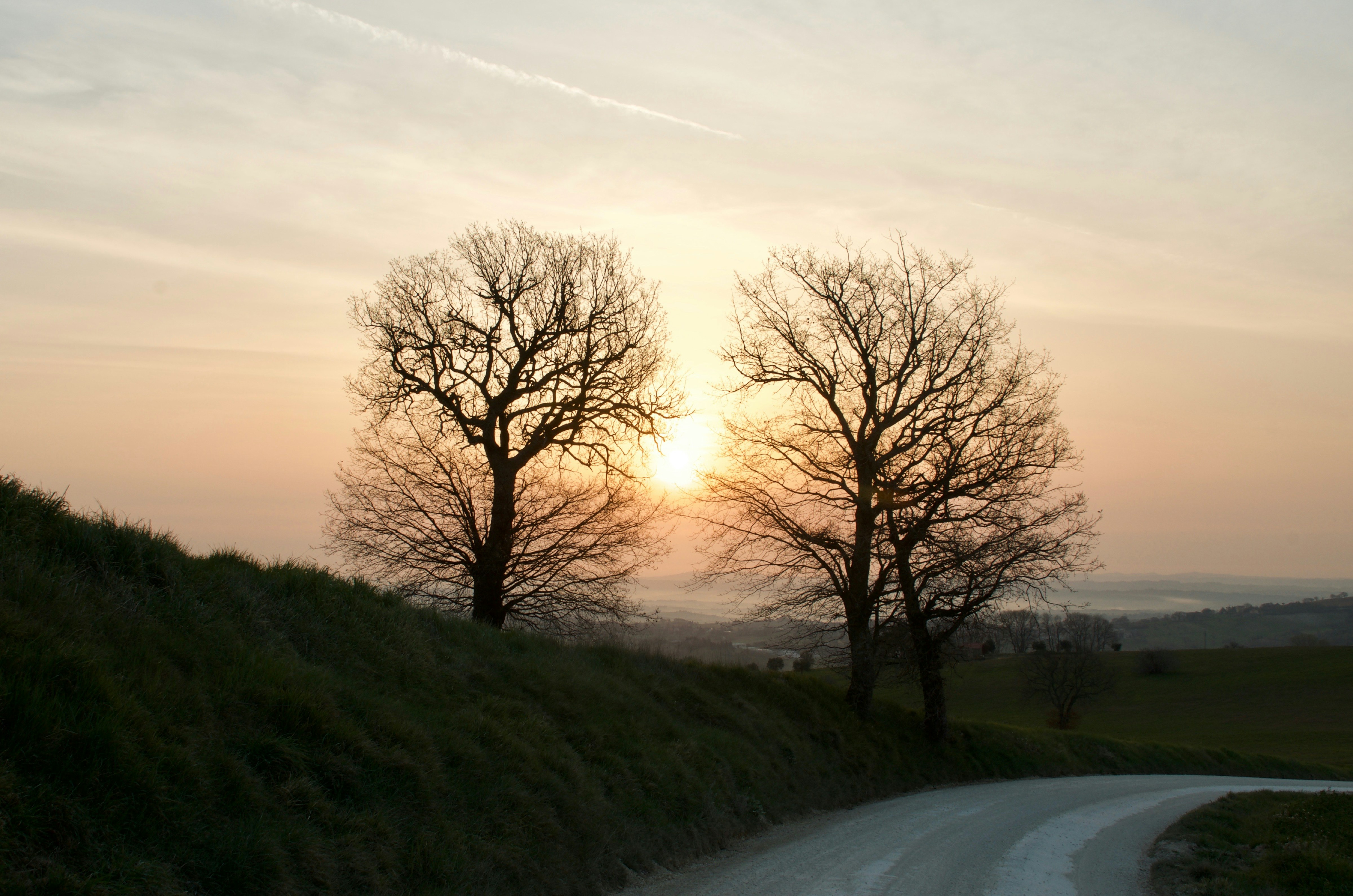 Photo by mariobeducci