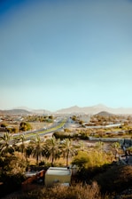 a view of a city with palm trees and mountains in the background