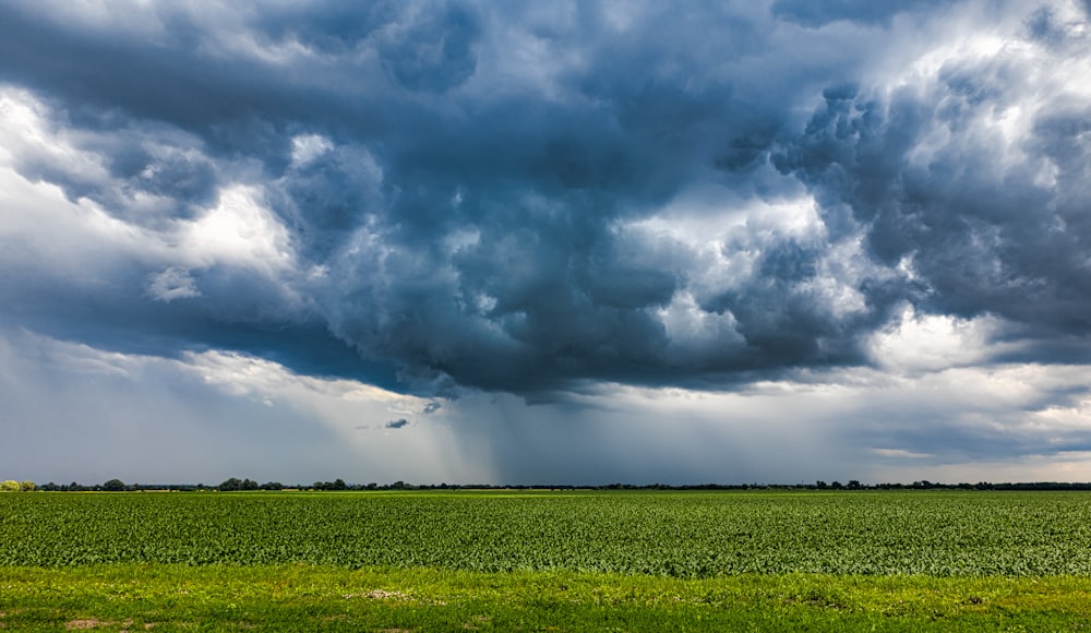 a large field of green grass under a cloudy sky