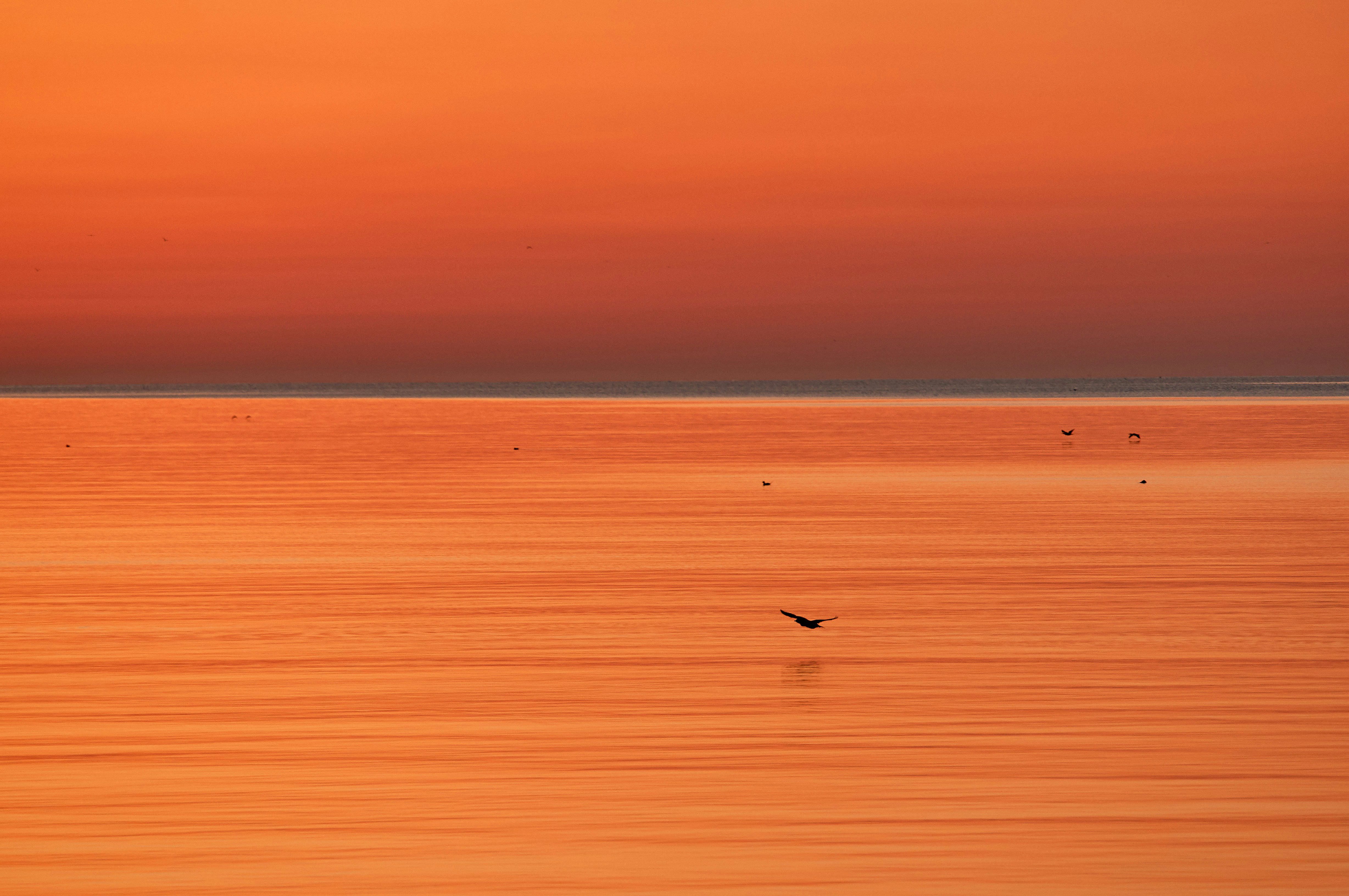 Photo by wolfgang_hasselmann