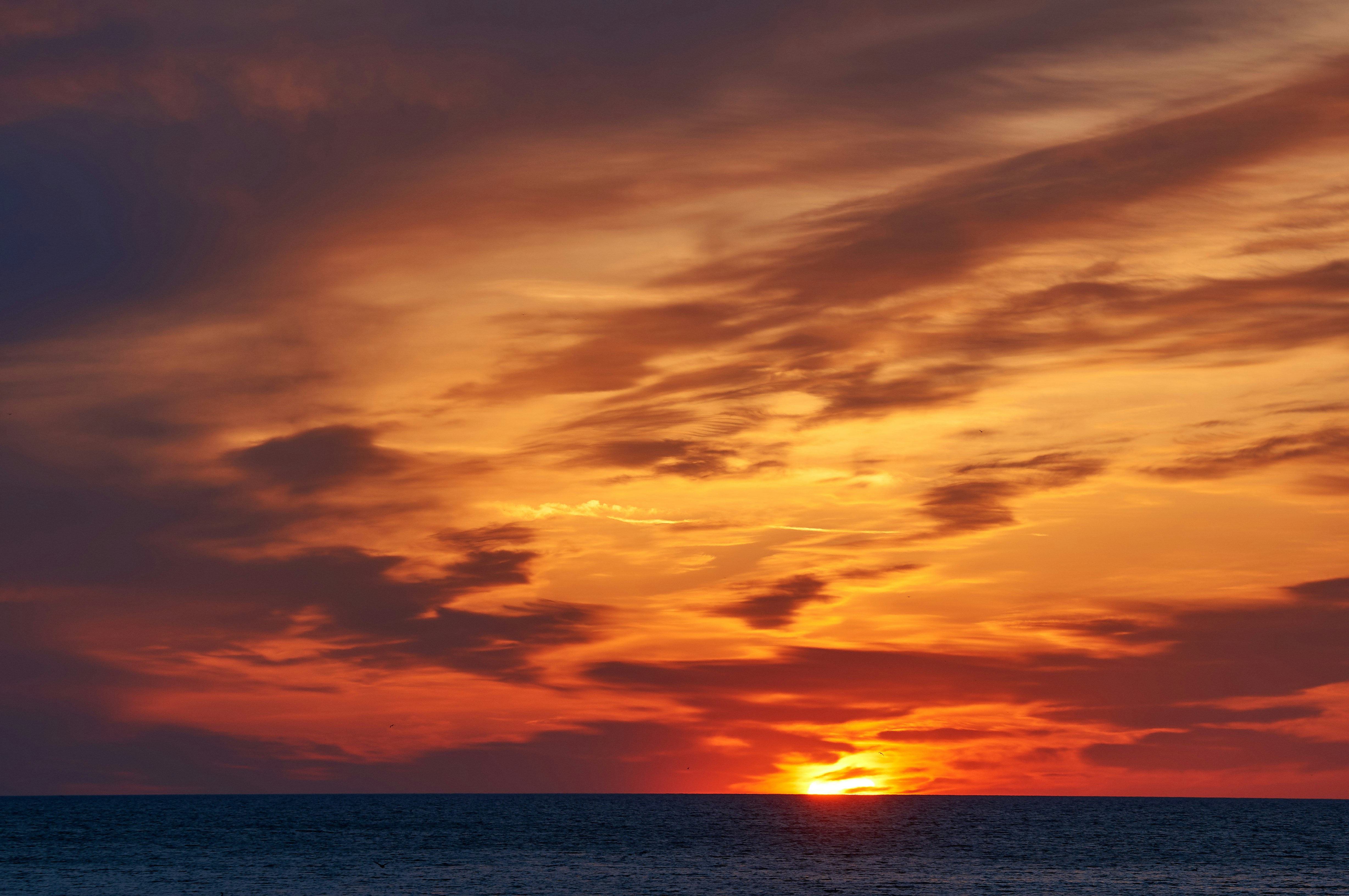 Photo by wolfgang_hasselmann