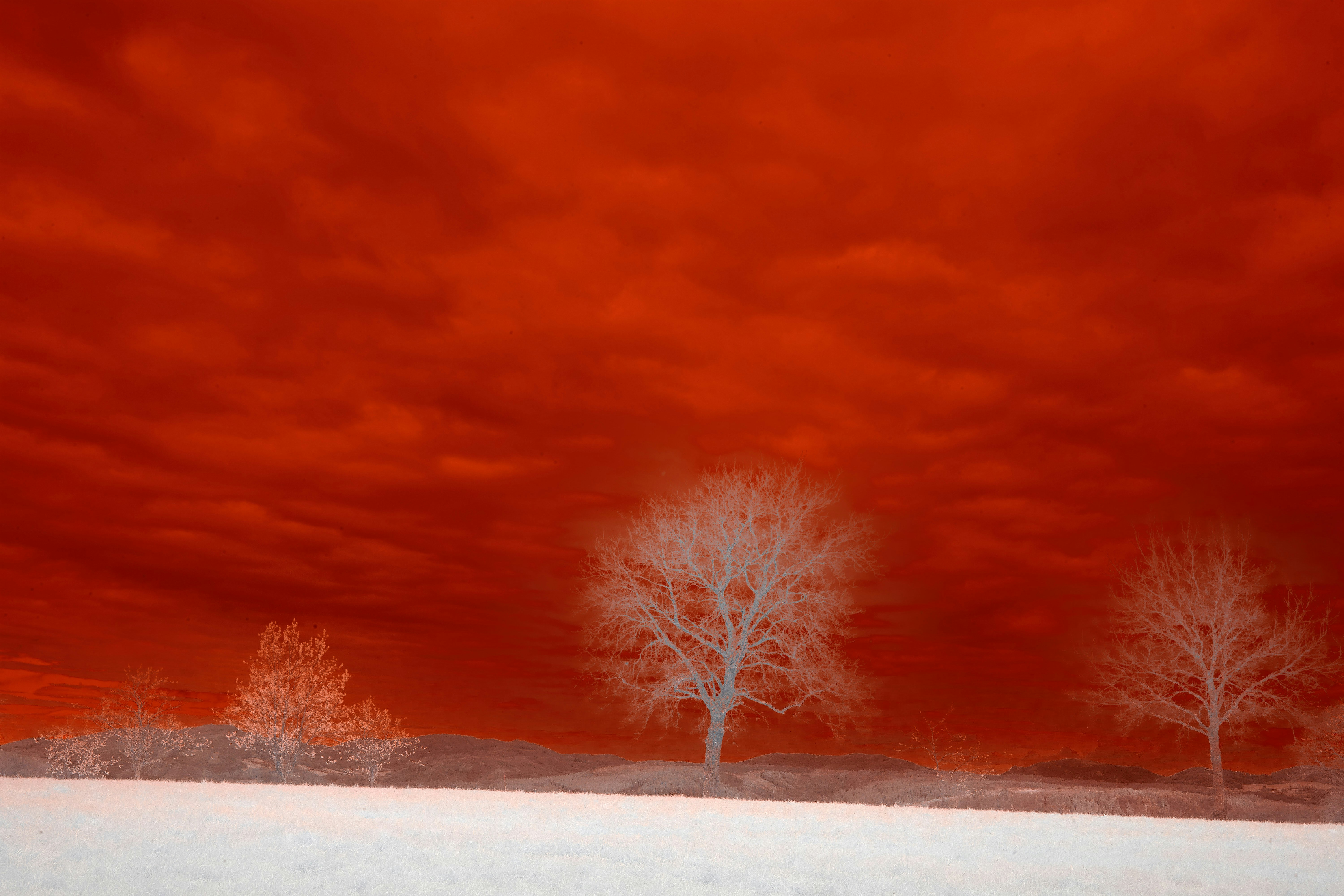 Photo by wolfgang_hasselmann