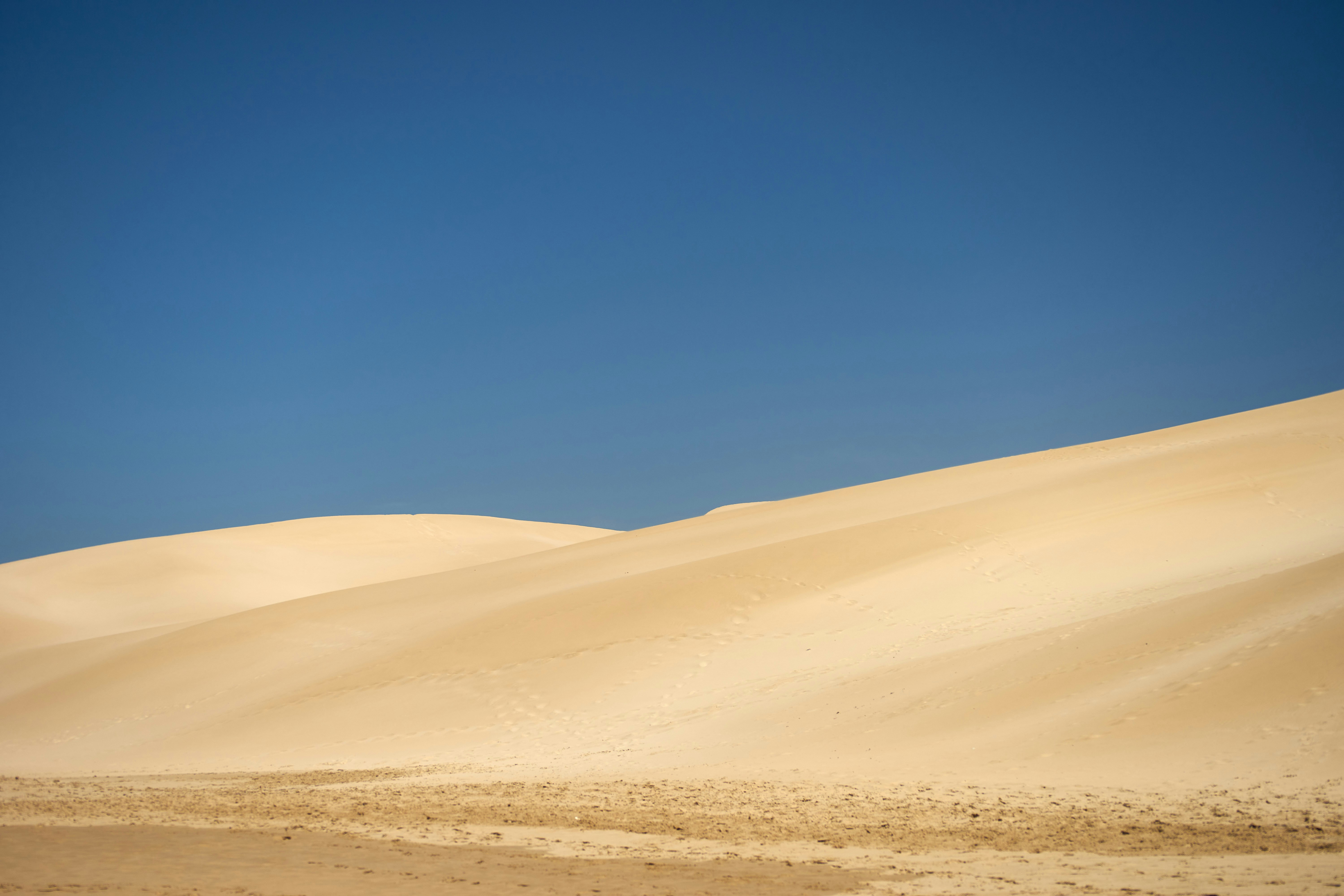 Photo by wolfgang_hasselmann