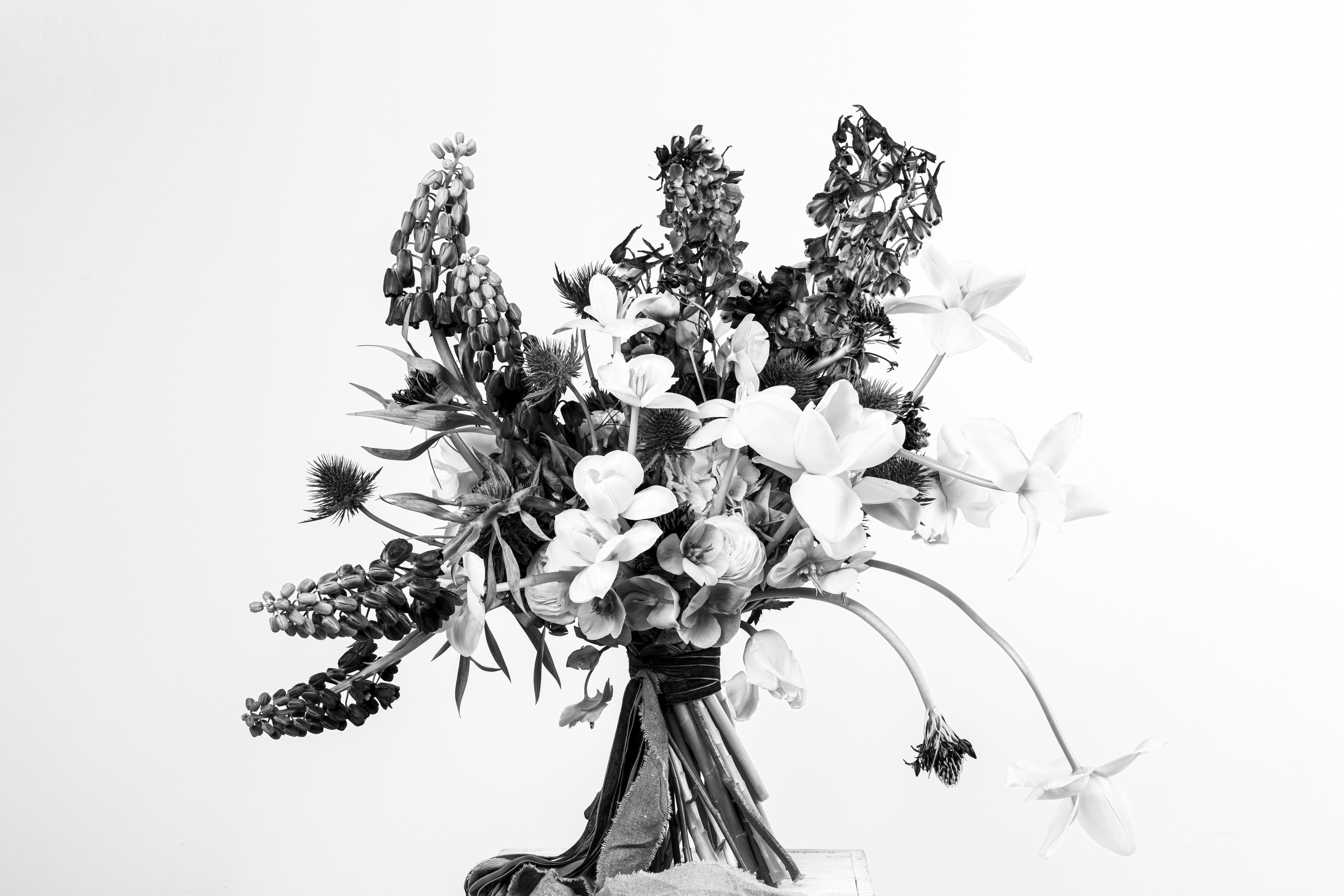 Photo by filipp_roman_photography