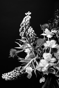 An arrangement of various flowers and plants displayed against a dark background. The composition includes long-stemmed flowers and spiky foliage, creating a contrast between smooth petals and textured elements.