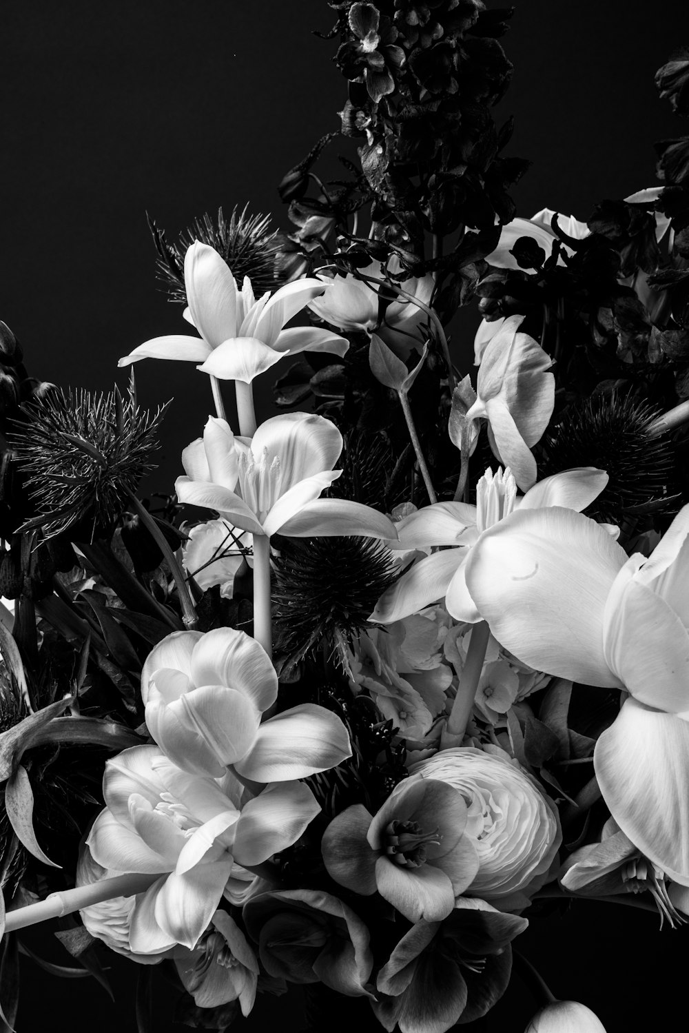 a black and white photo of a bouquet of flowers