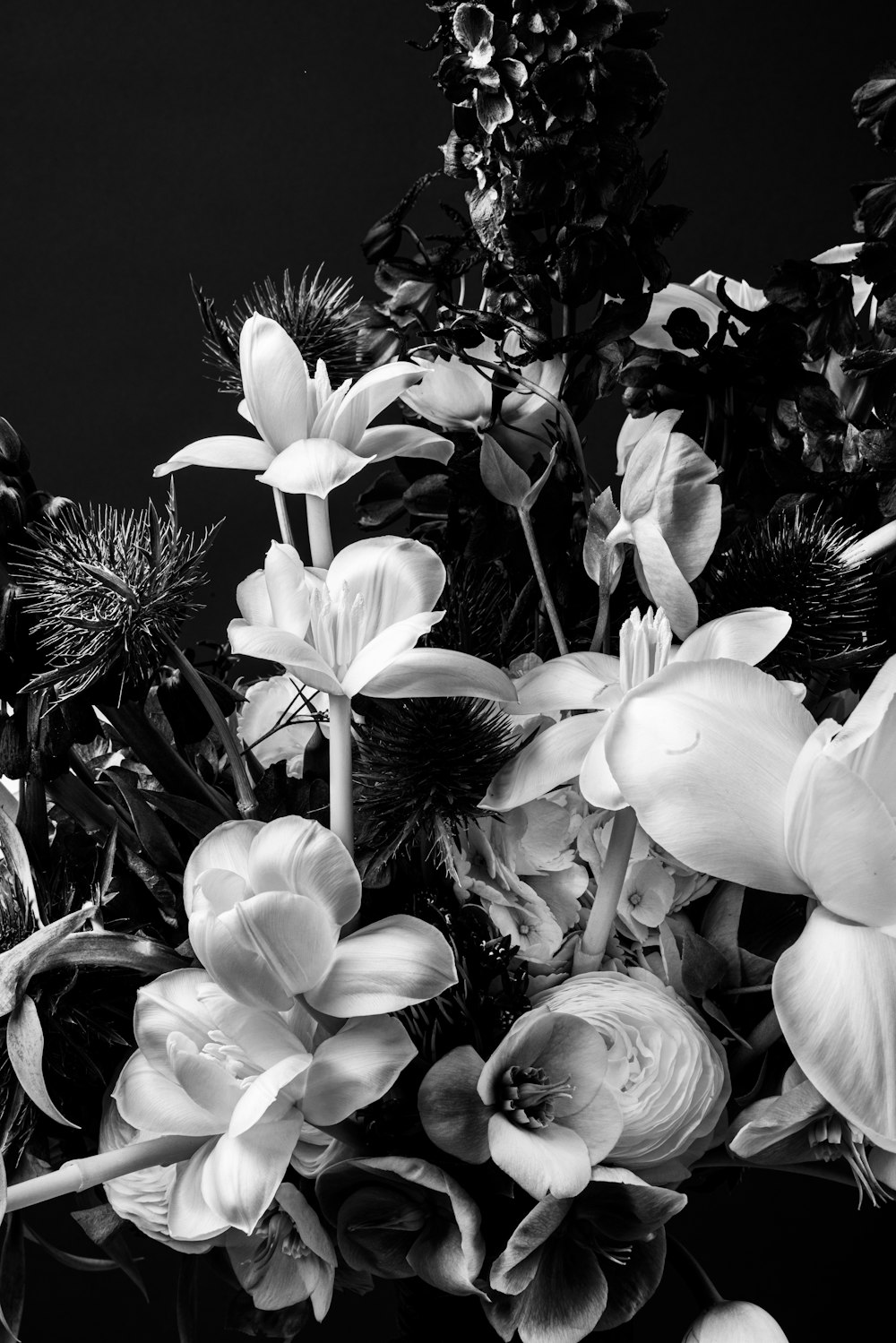 uma foto em preto e branco de um buquê de flores
