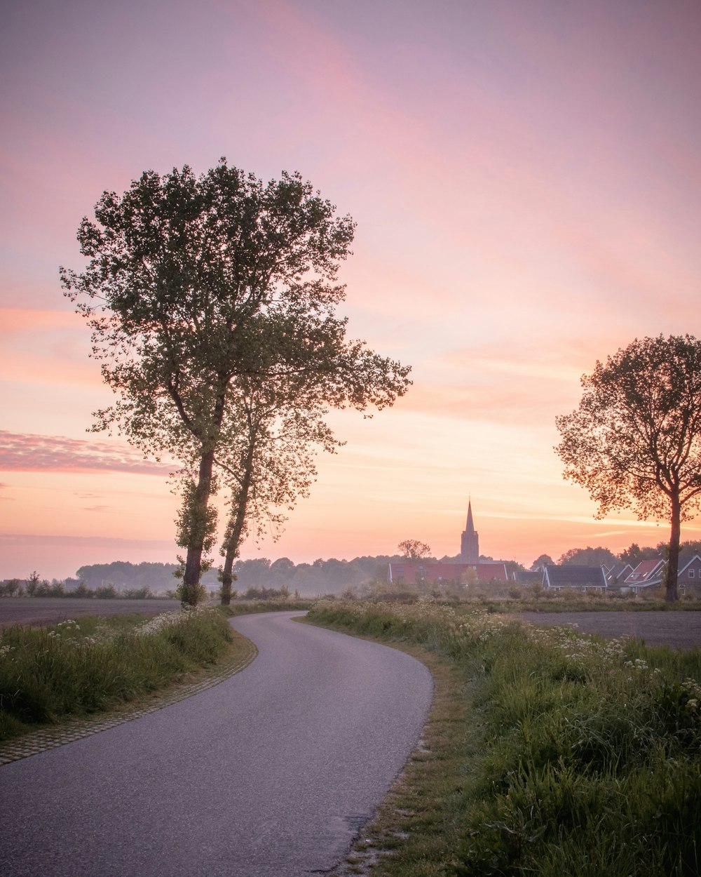 a winding road with trees and a church in the background