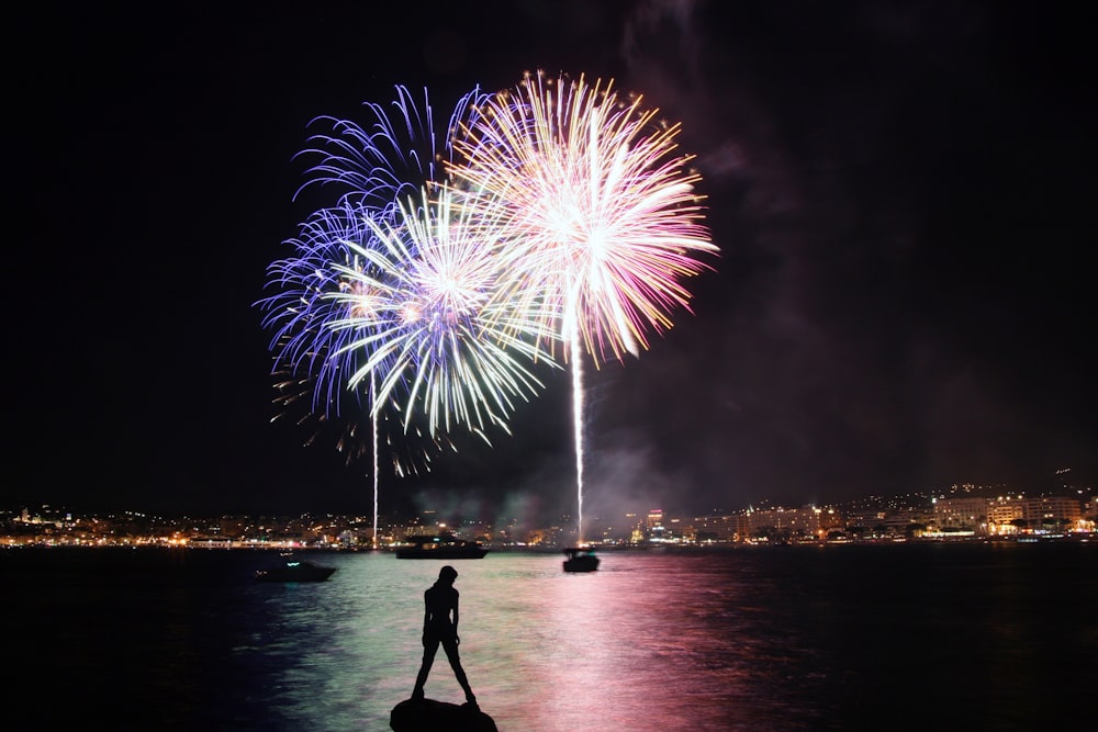 a person standing on a rock looking at fireworks