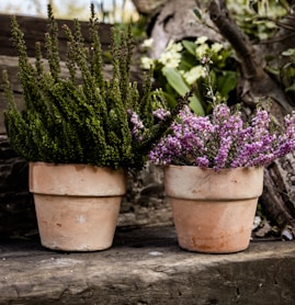 a couple of potted plants sitting on top of a wooden bench