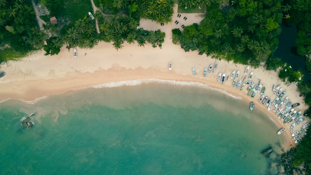 an aerial view of a sandy beach and ocean