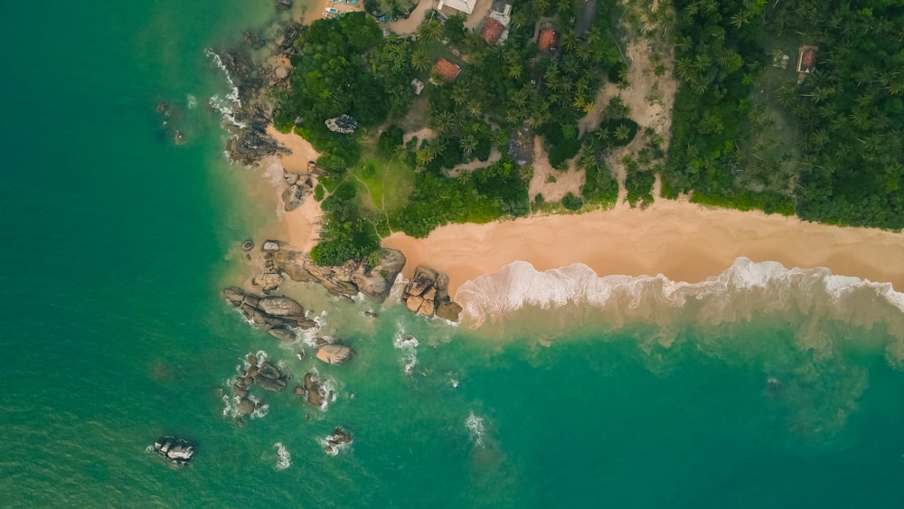 an aerial view of a beach and a forested area