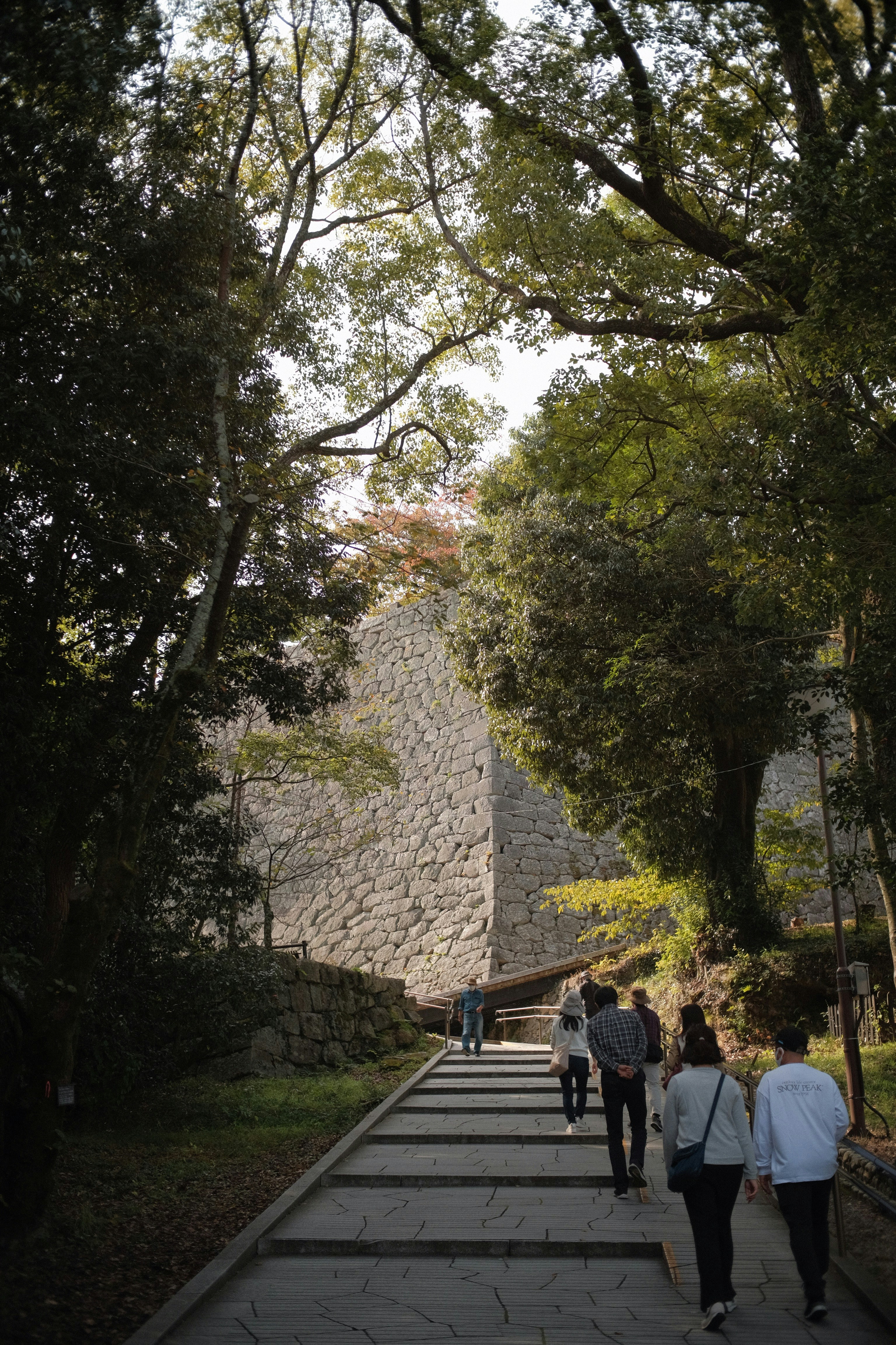 A group of people walking up some stairs photo – Free Human Image on ...