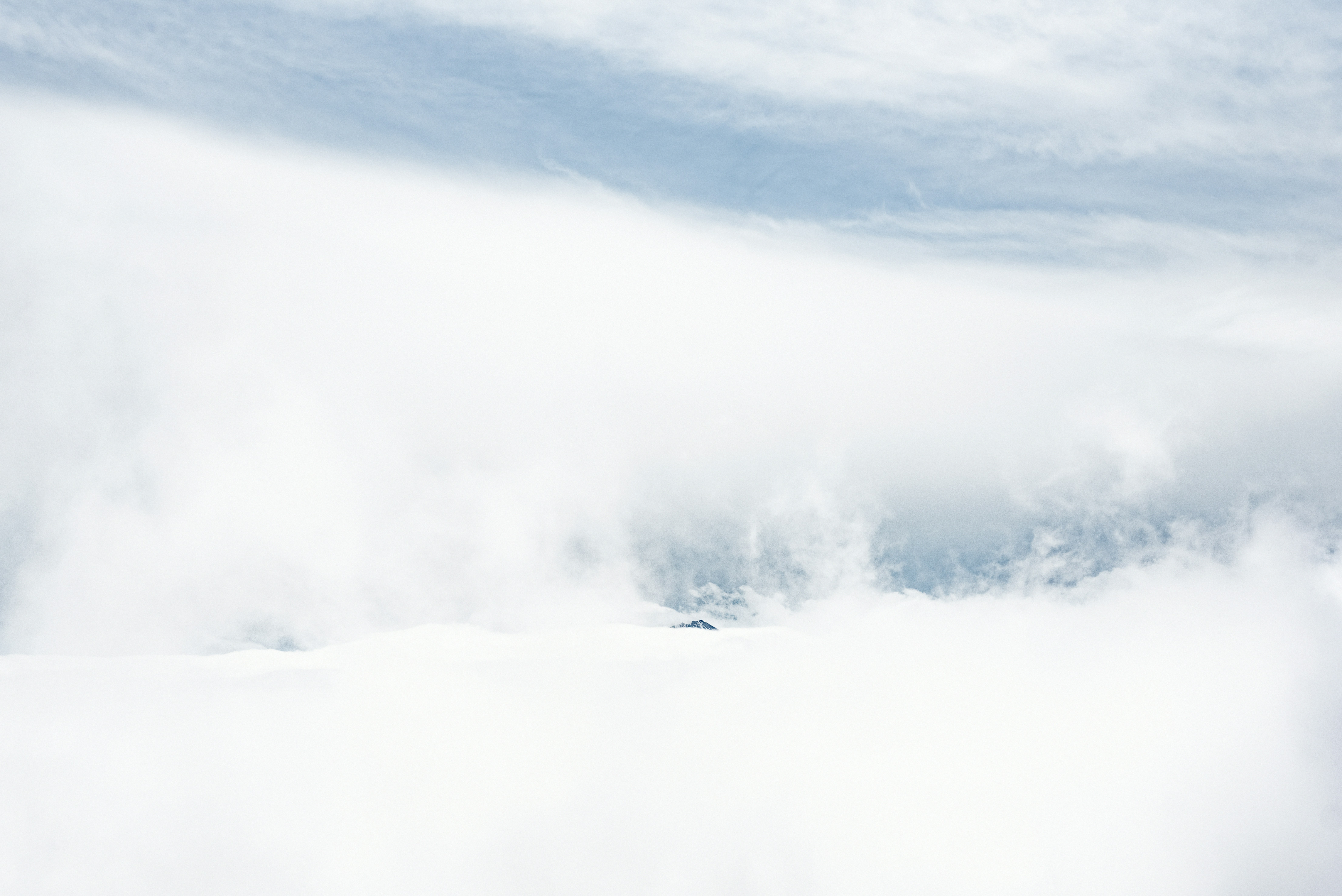 Photo by lauraadaiphoto