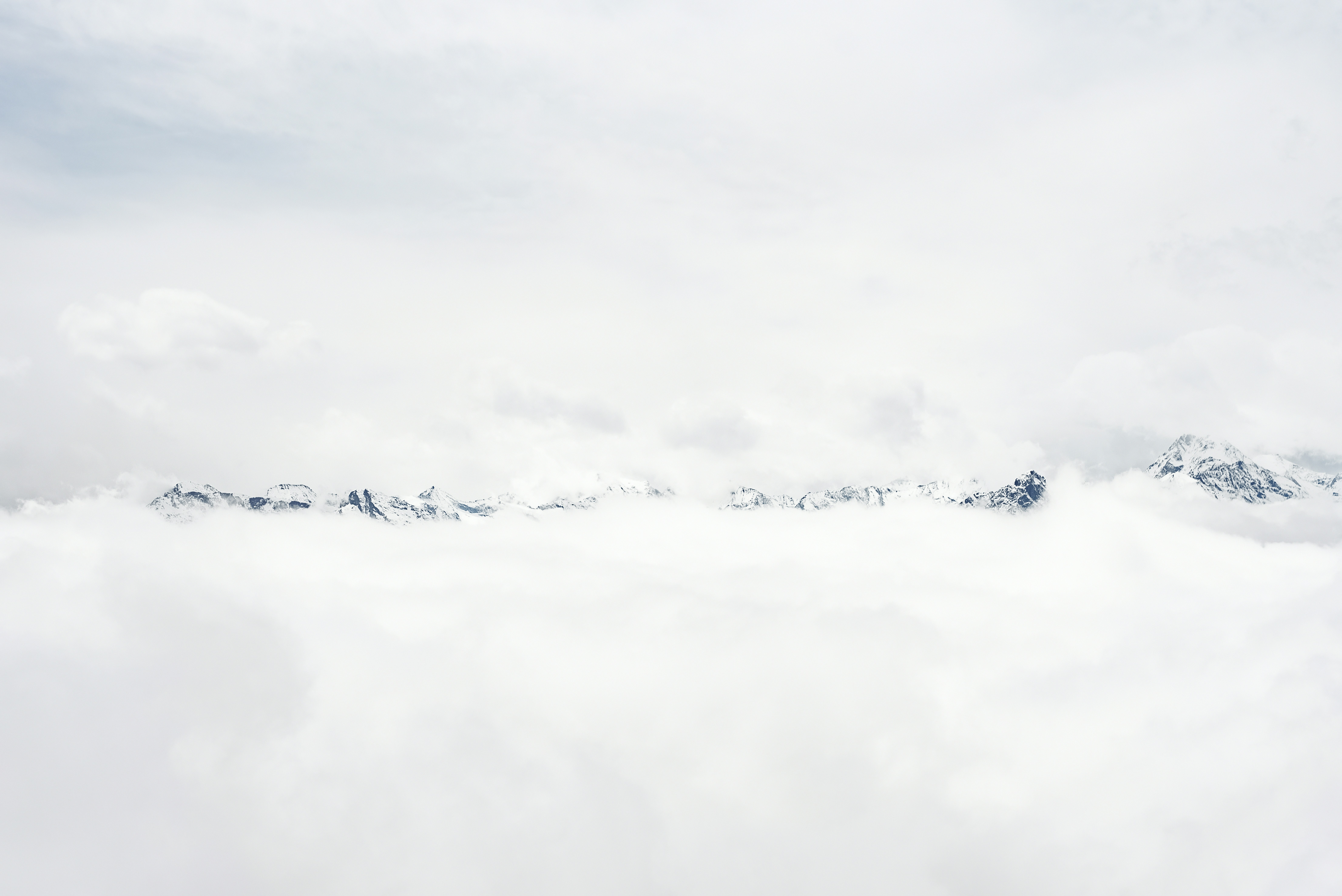 Photo by lauraadaiphoto