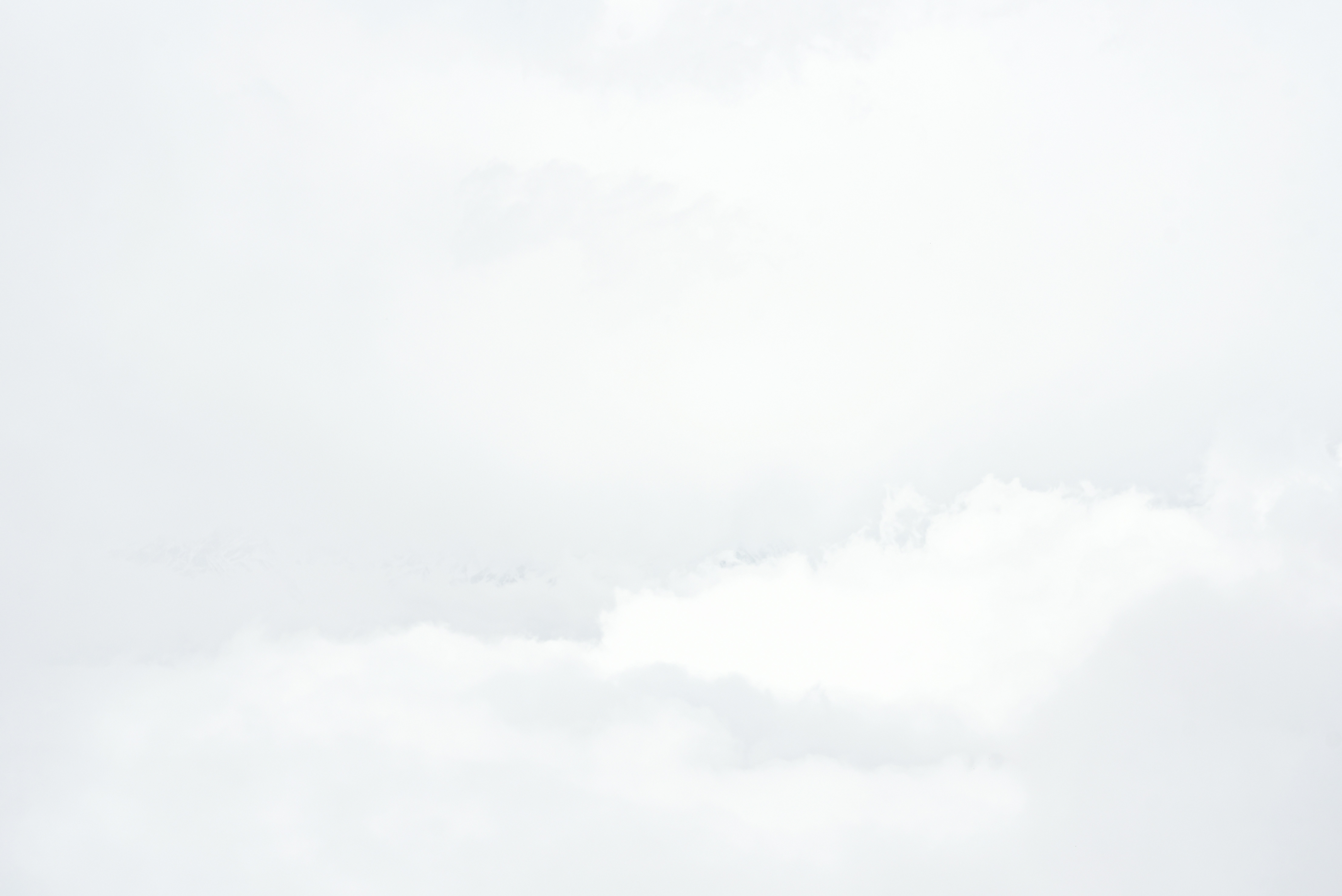 Photo by lauraadaiphoto