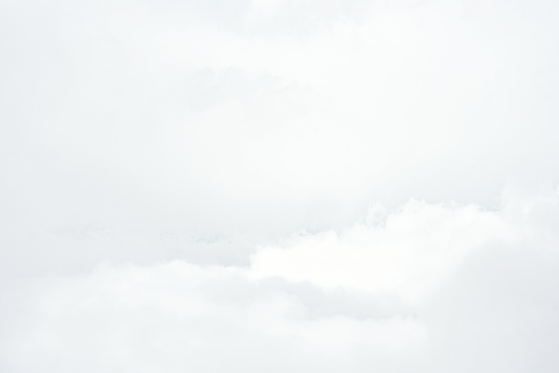a group of people flying kites on a cloudy day