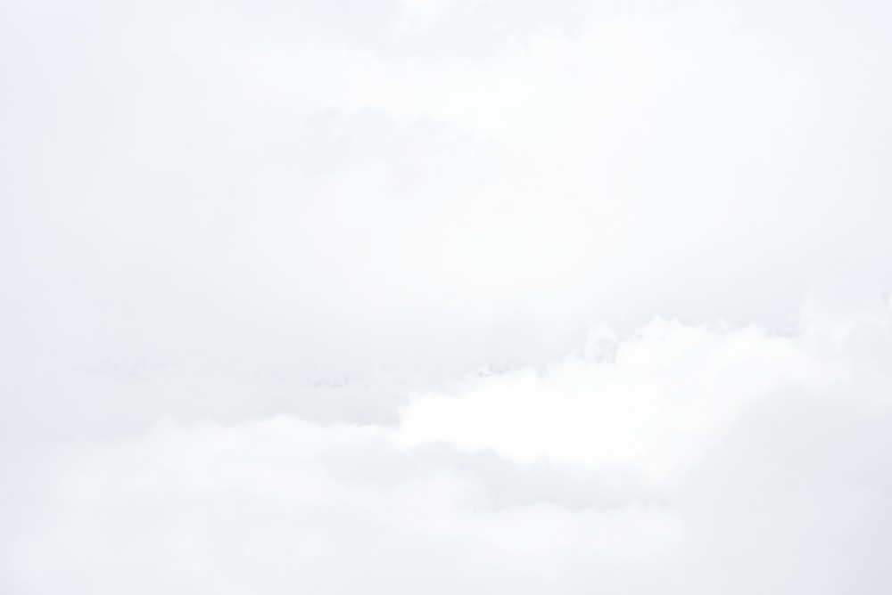 a group of people flying kites on a cloudy day