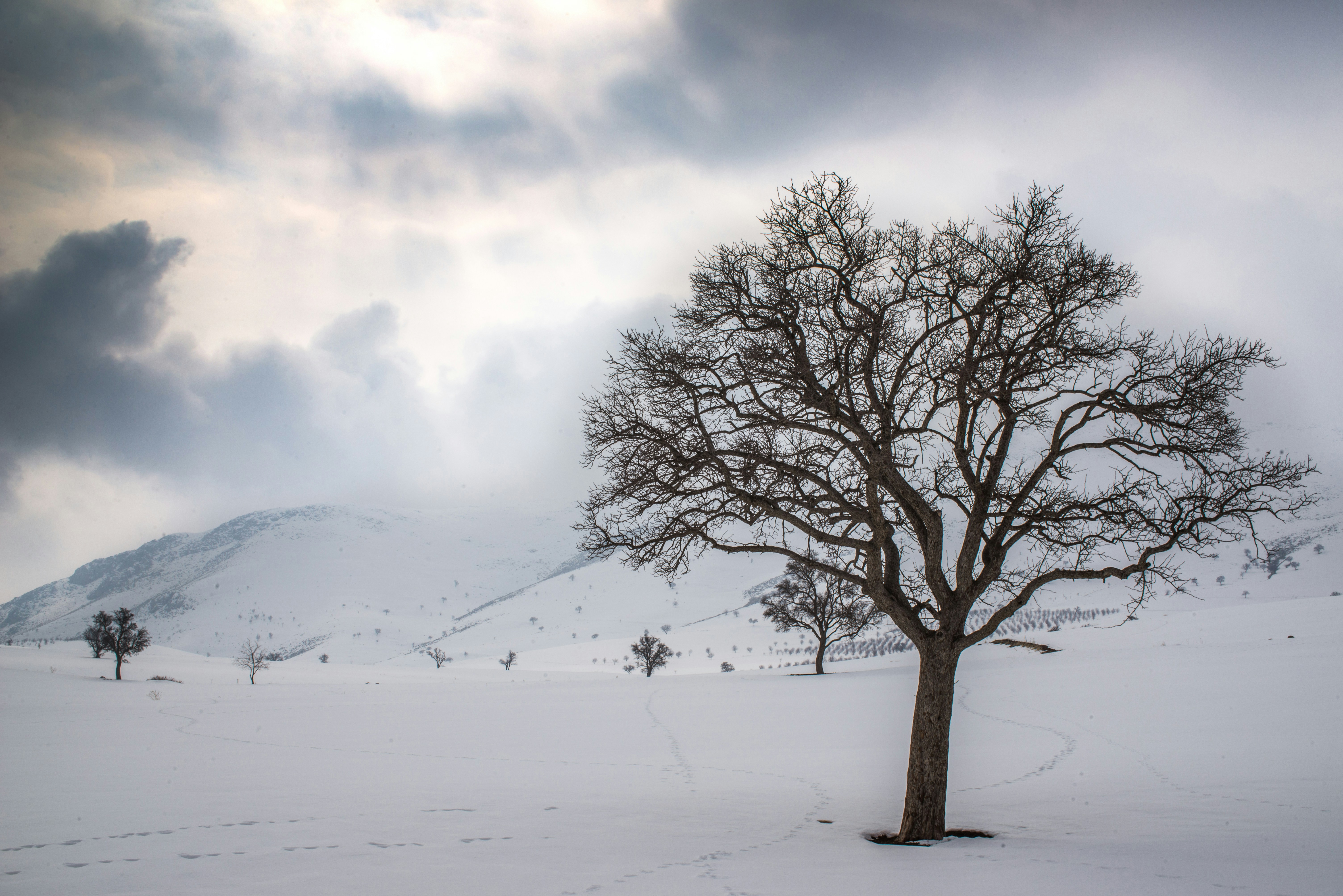 Photo by adrinalinejad