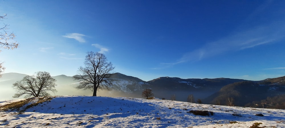 a snow covered hill with trees and mountains in the background