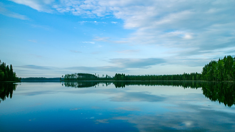 a large body of water surrounded by trees