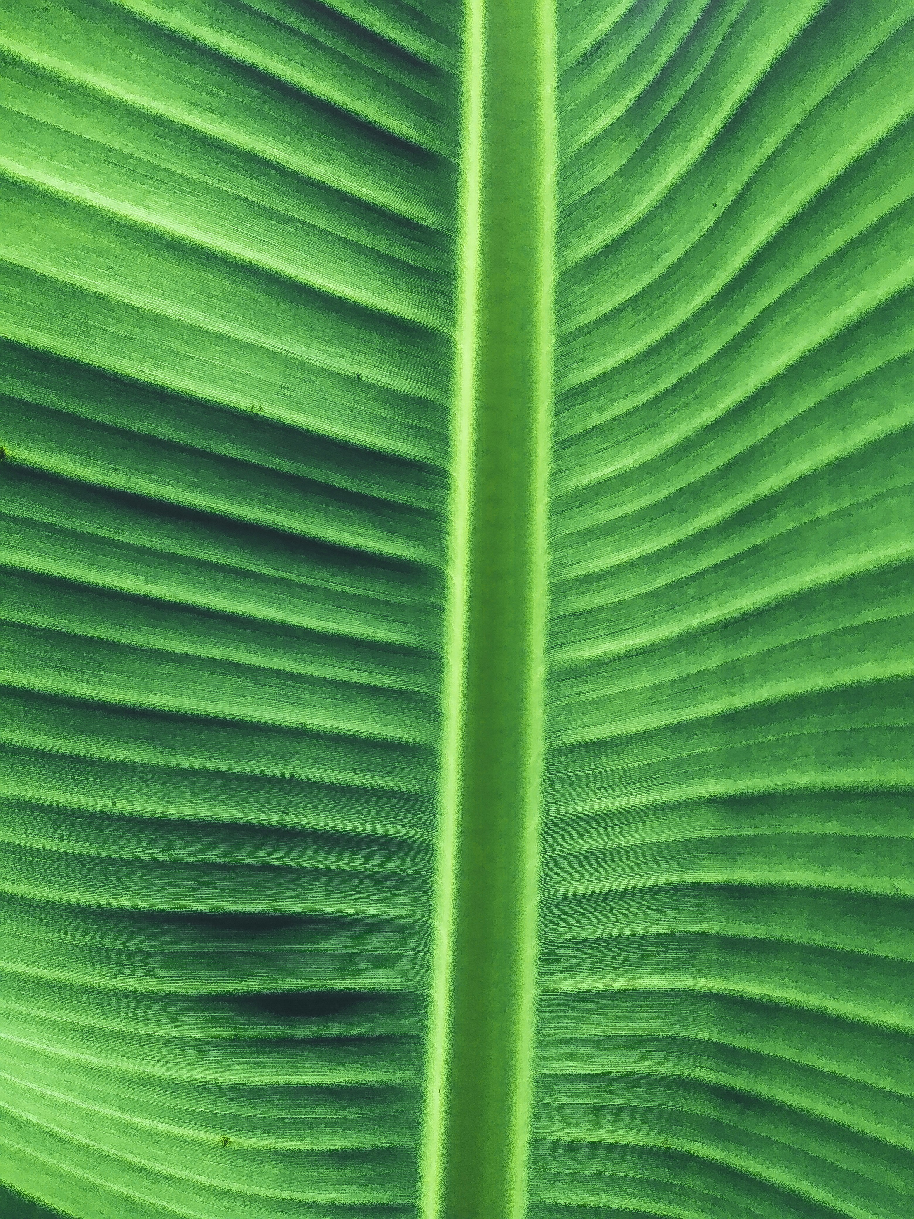 Photo by kiprono_kitur