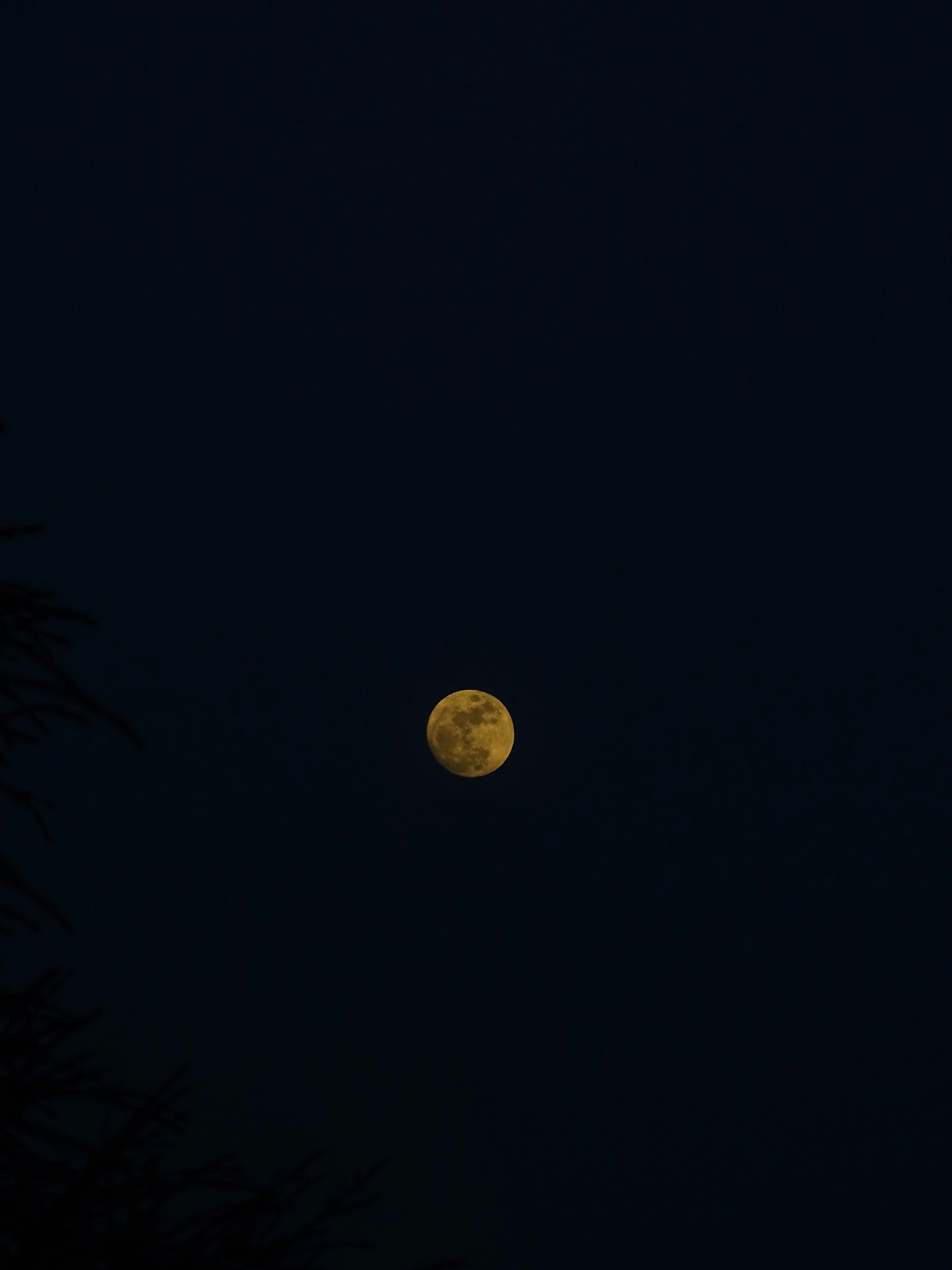 Photo by kiprono_kitur