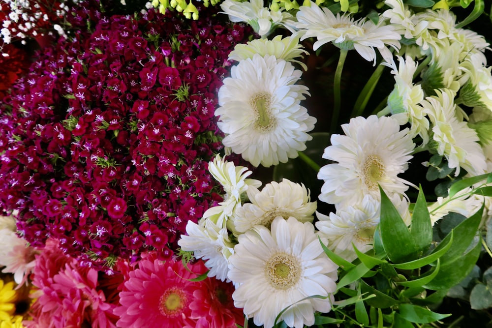 a close up of a bunch of flowers