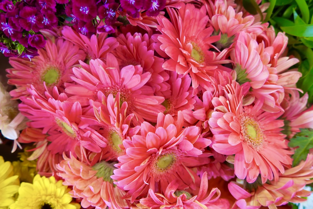um close up de um buquê de flores
