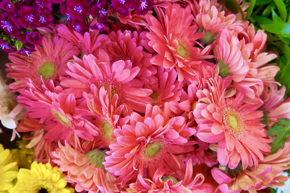 a close up of a bouquet of flowers