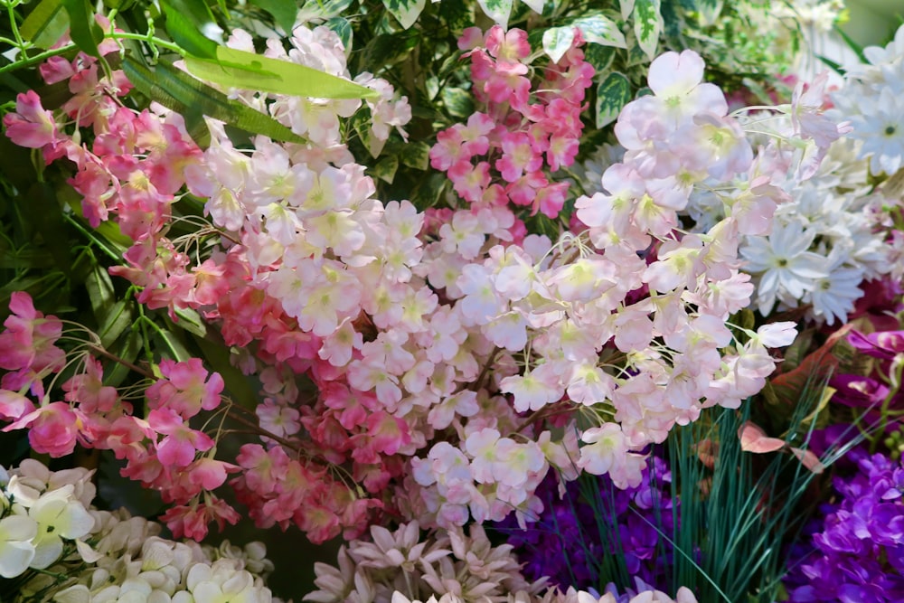 a close up of a bunch of flowers