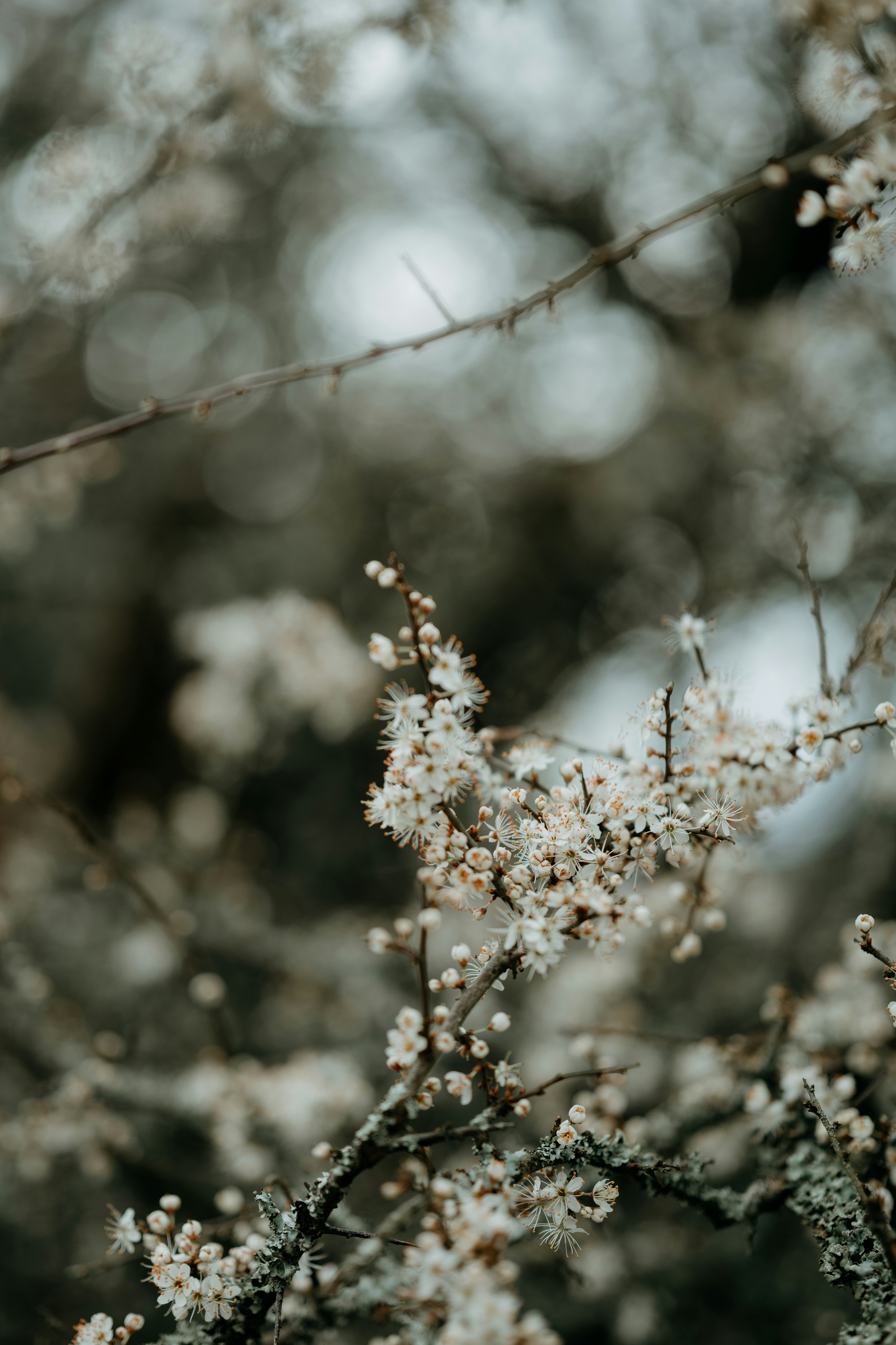 Photo by anniespratt