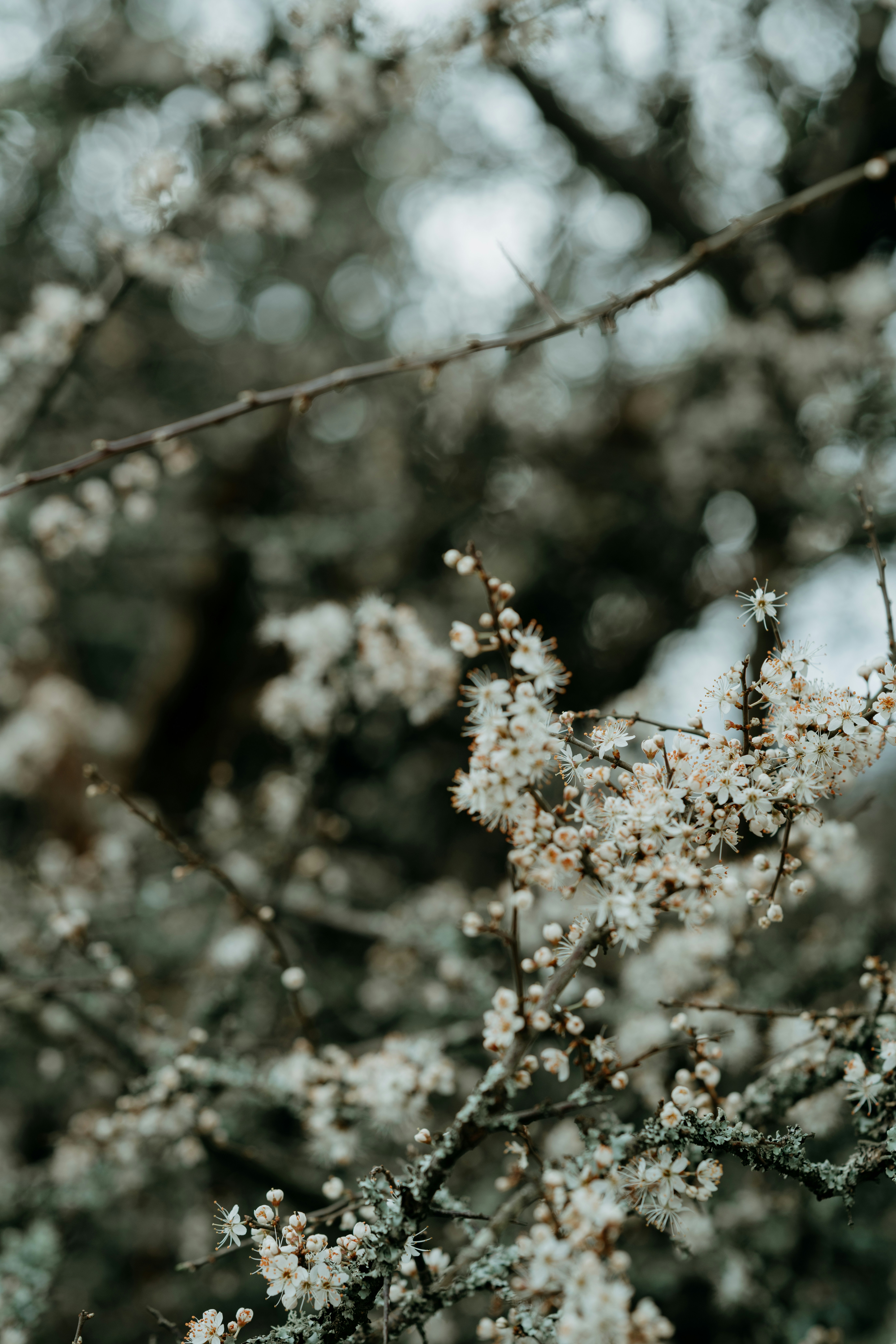 Photo by anniespratt