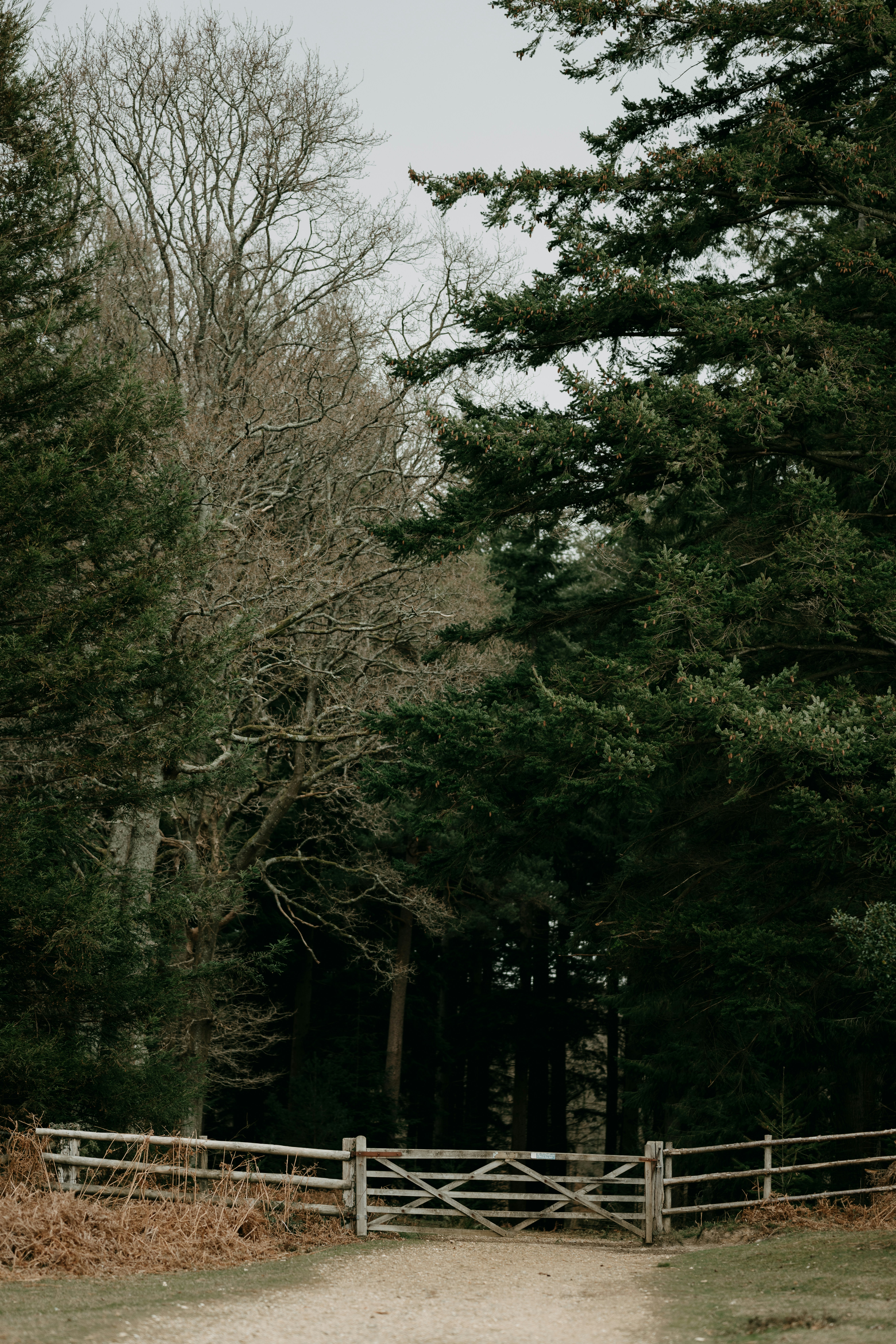 Photo by anniespratt