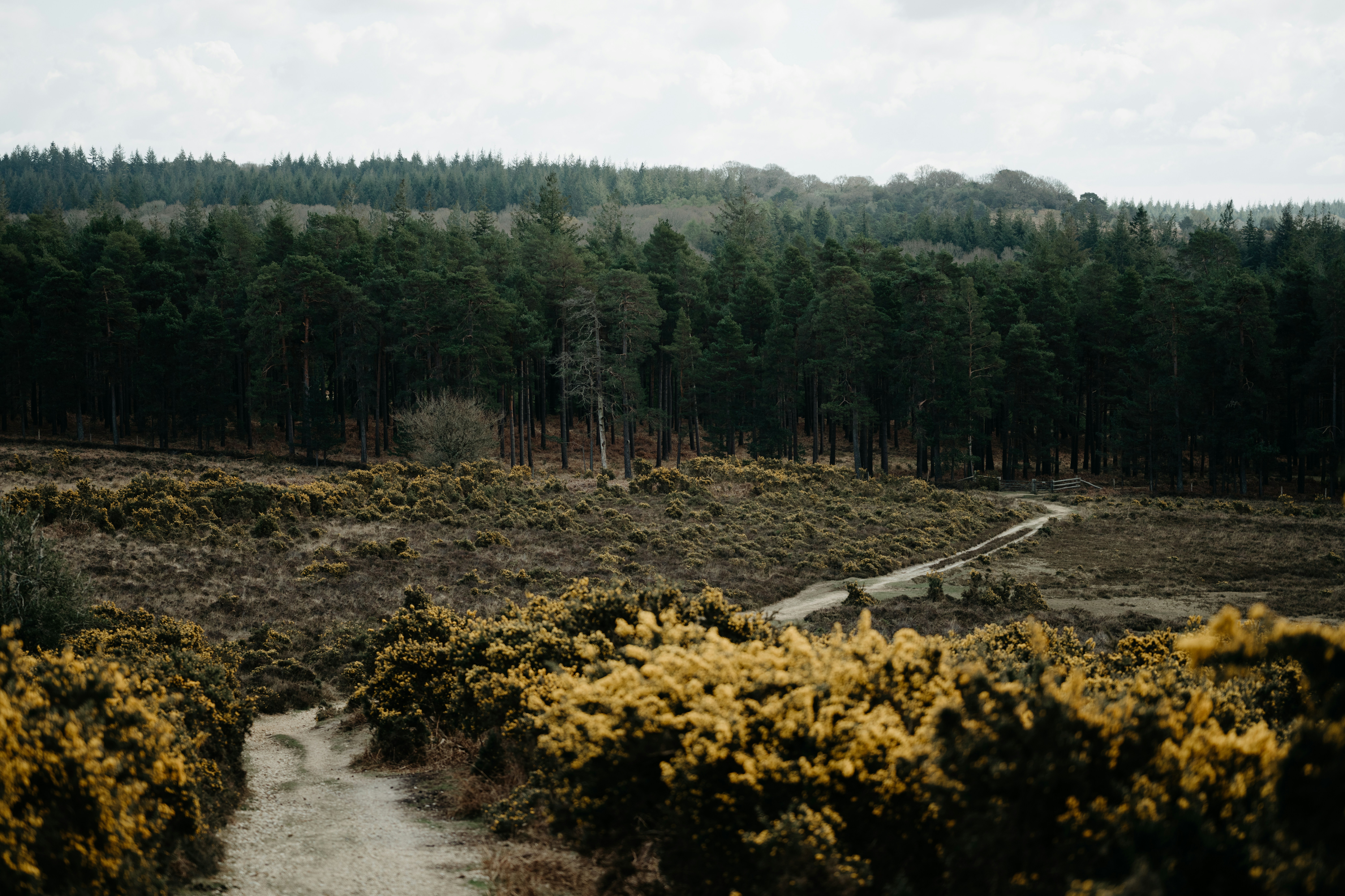 Photo by anniespratt
