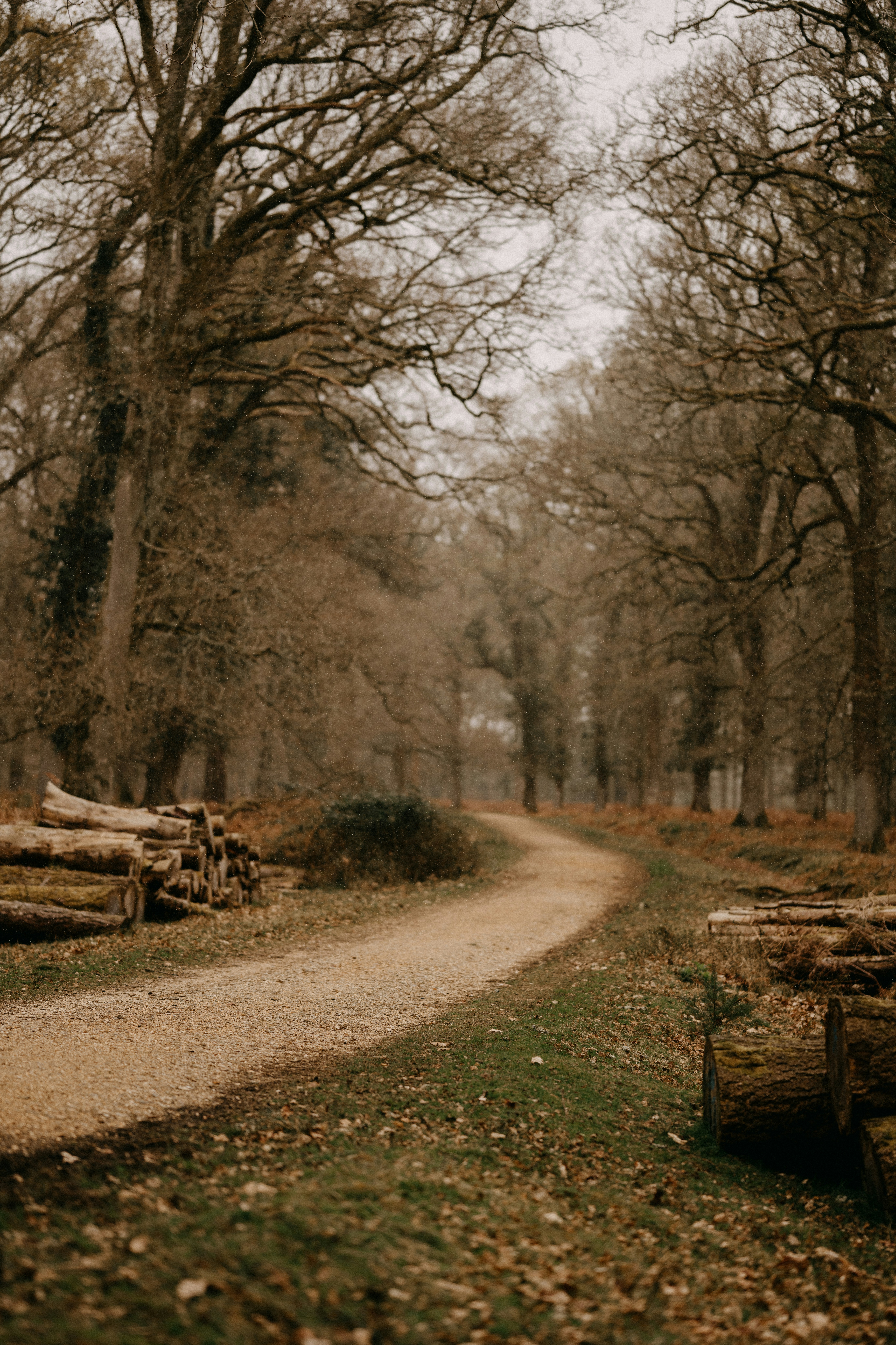 Photo by anniespratt