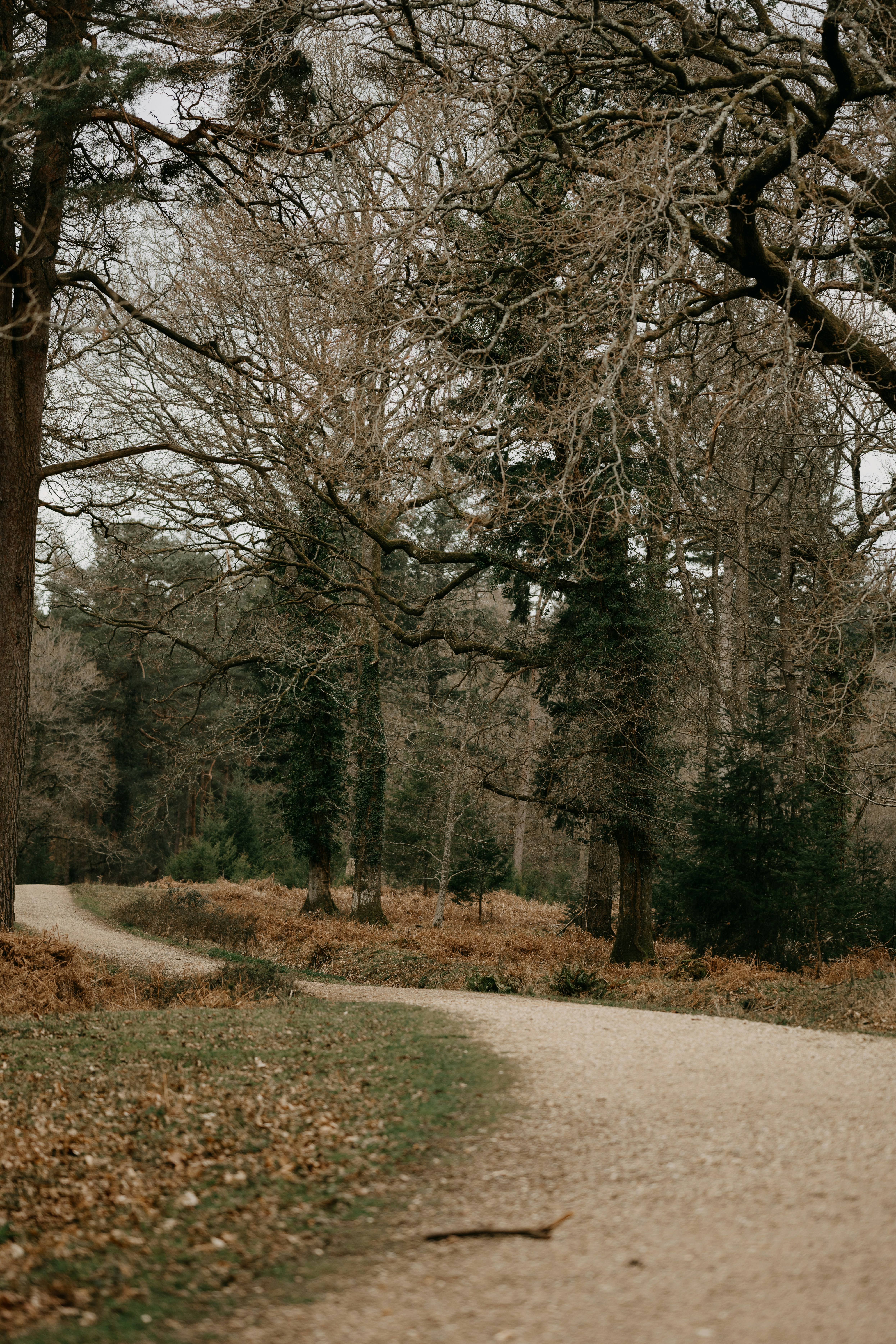 Photo by anniespratt