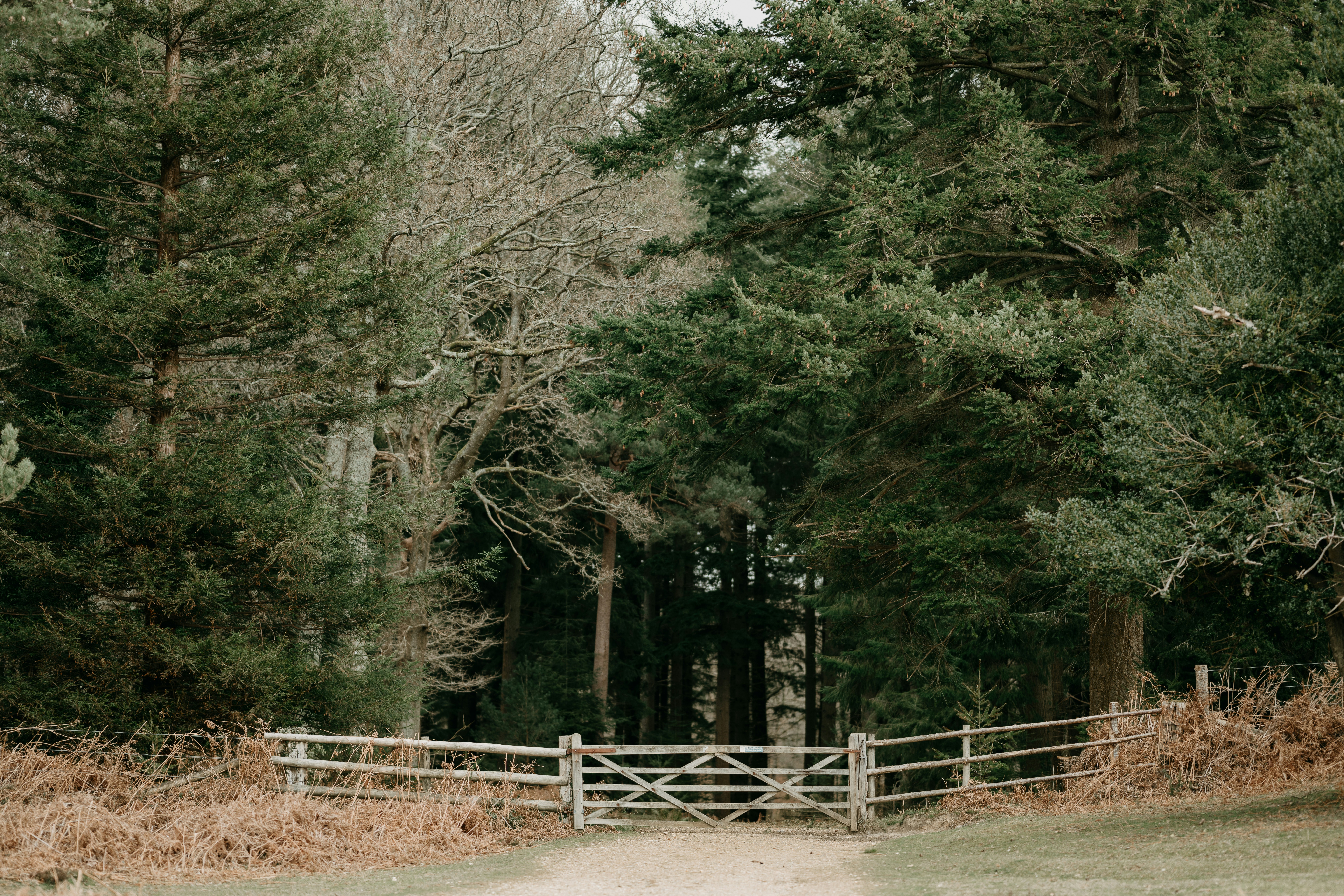 Photo by anniespratt