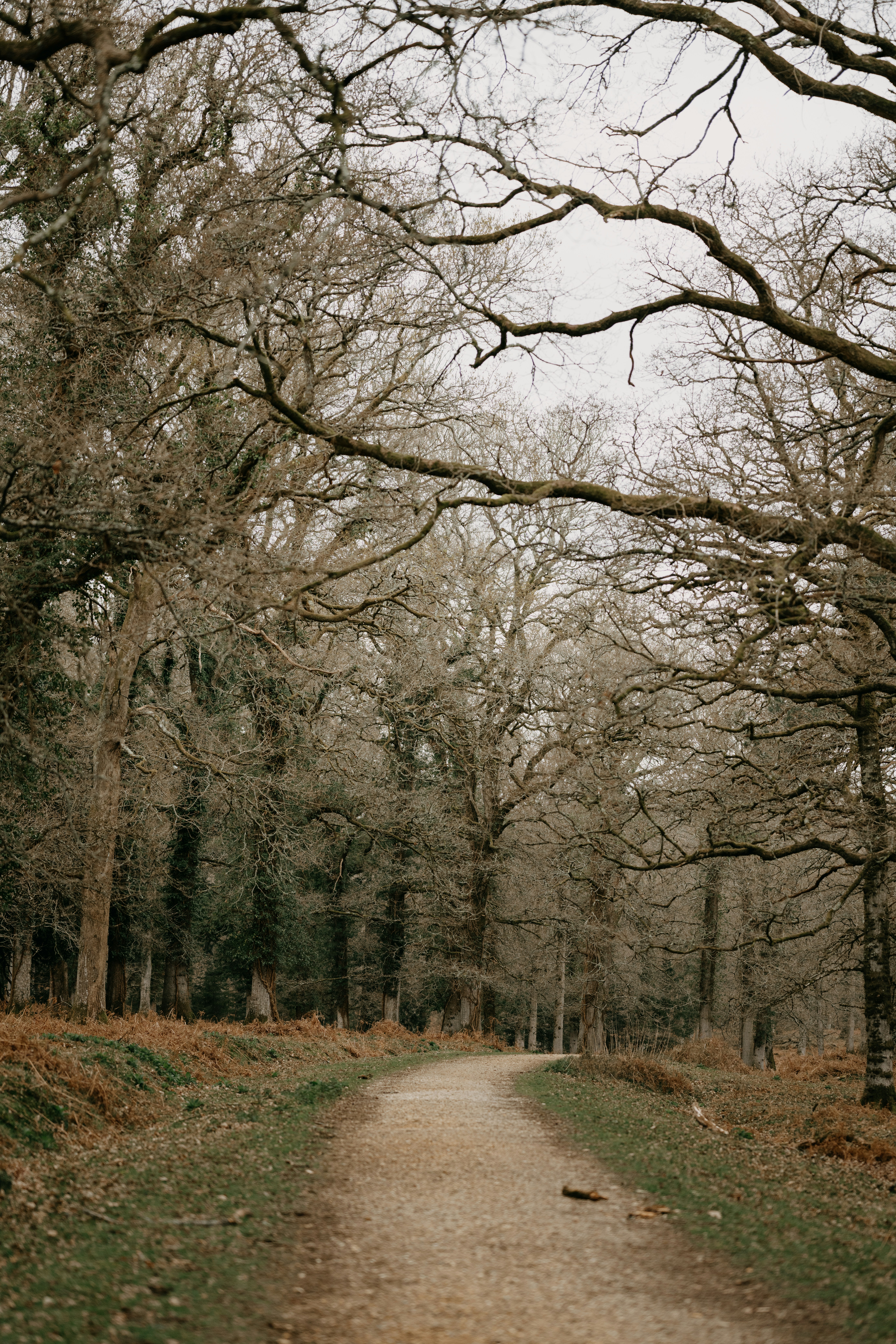 Photo by anniespratt