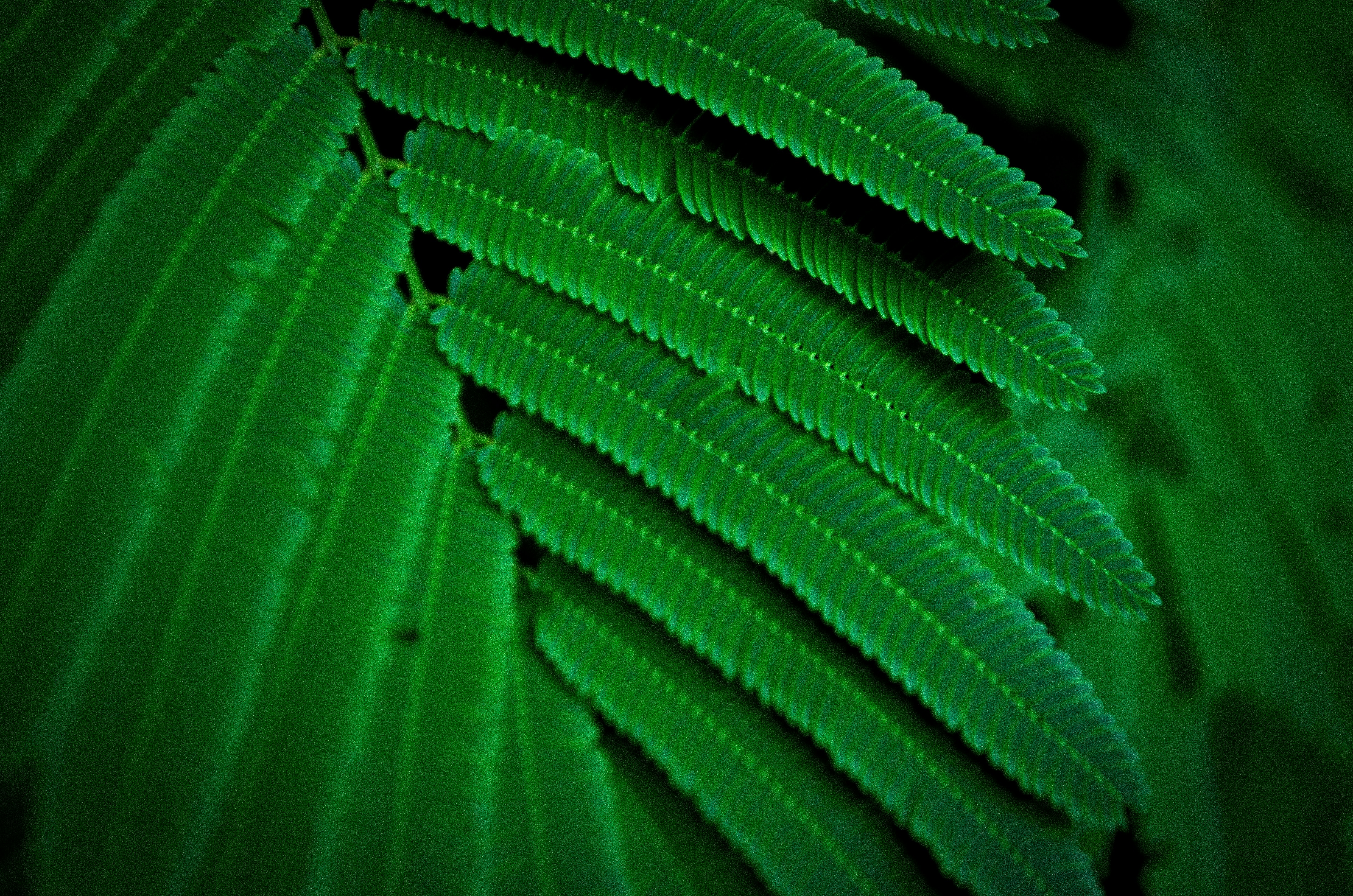 Photo by elinemarrieth