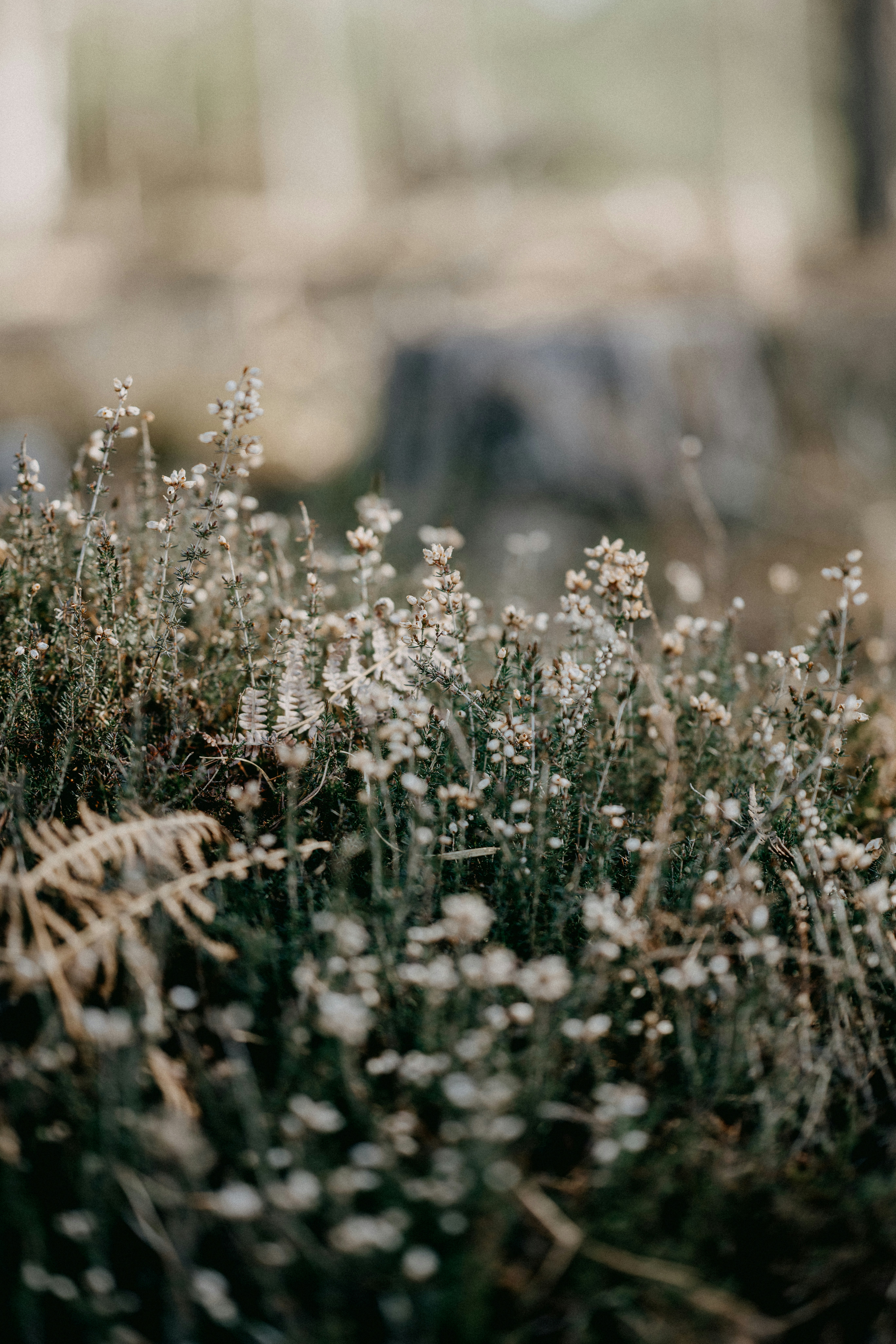 Photo by anniespratt