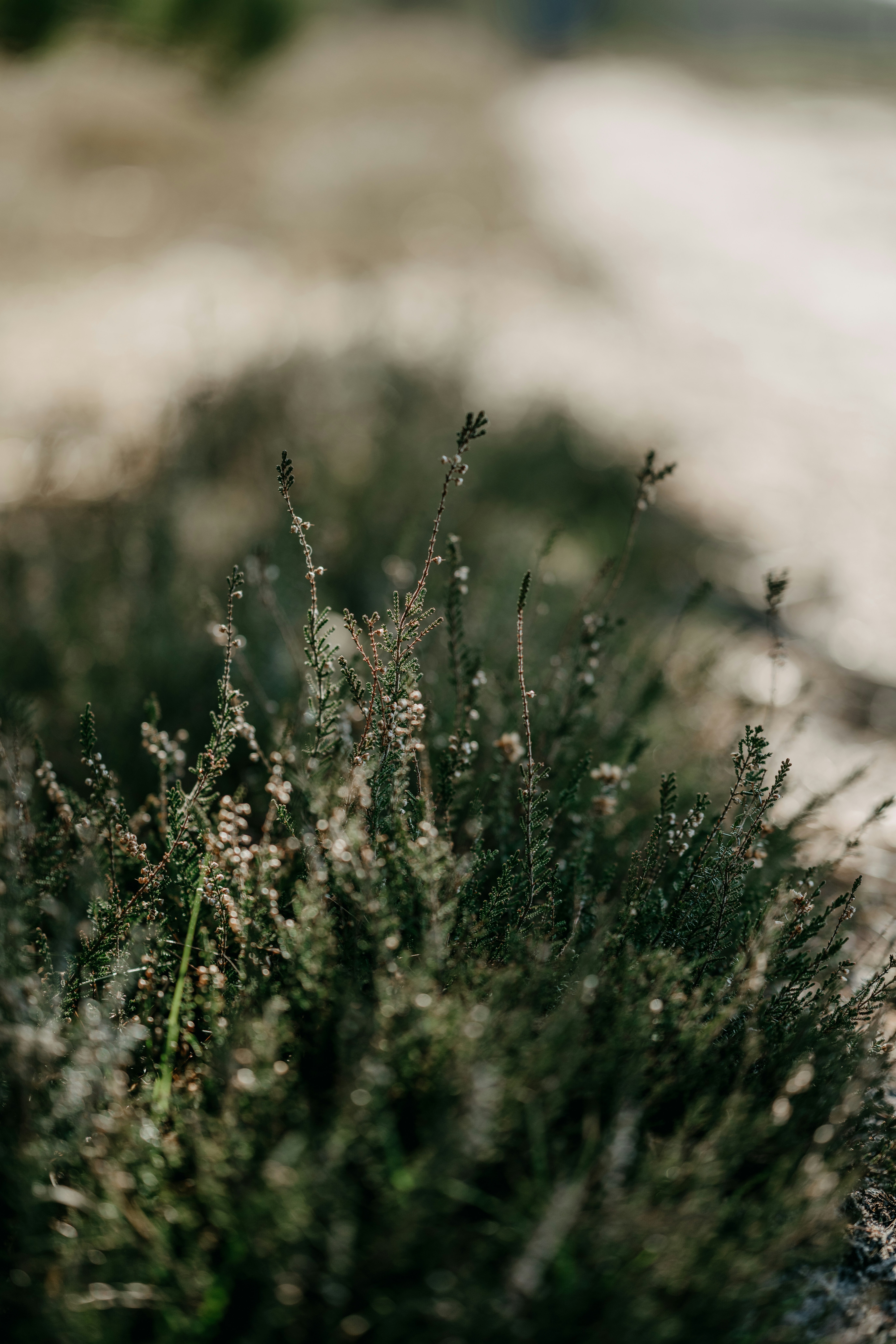 Photo by anniespratt