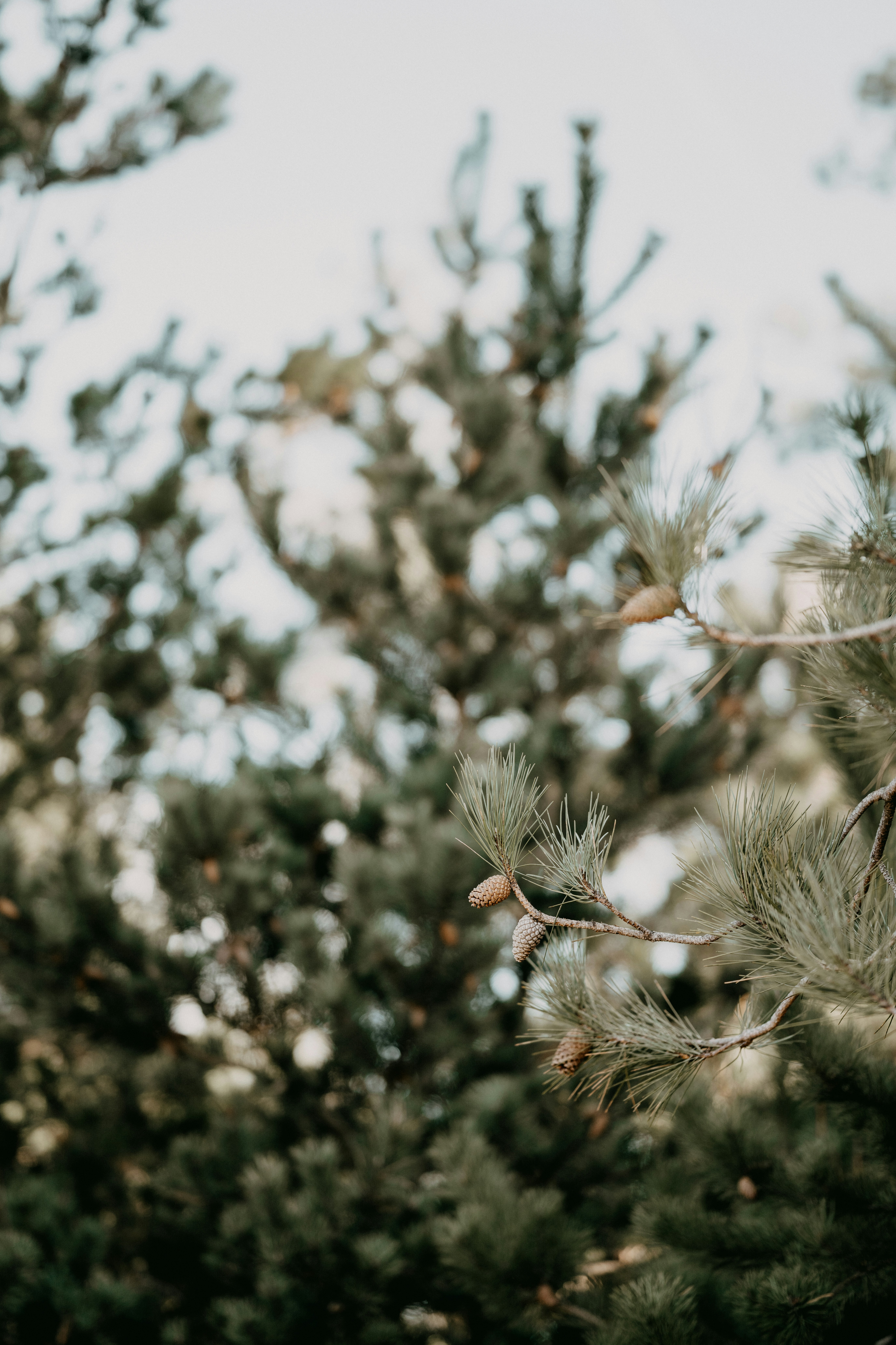 Photo by anniespratt