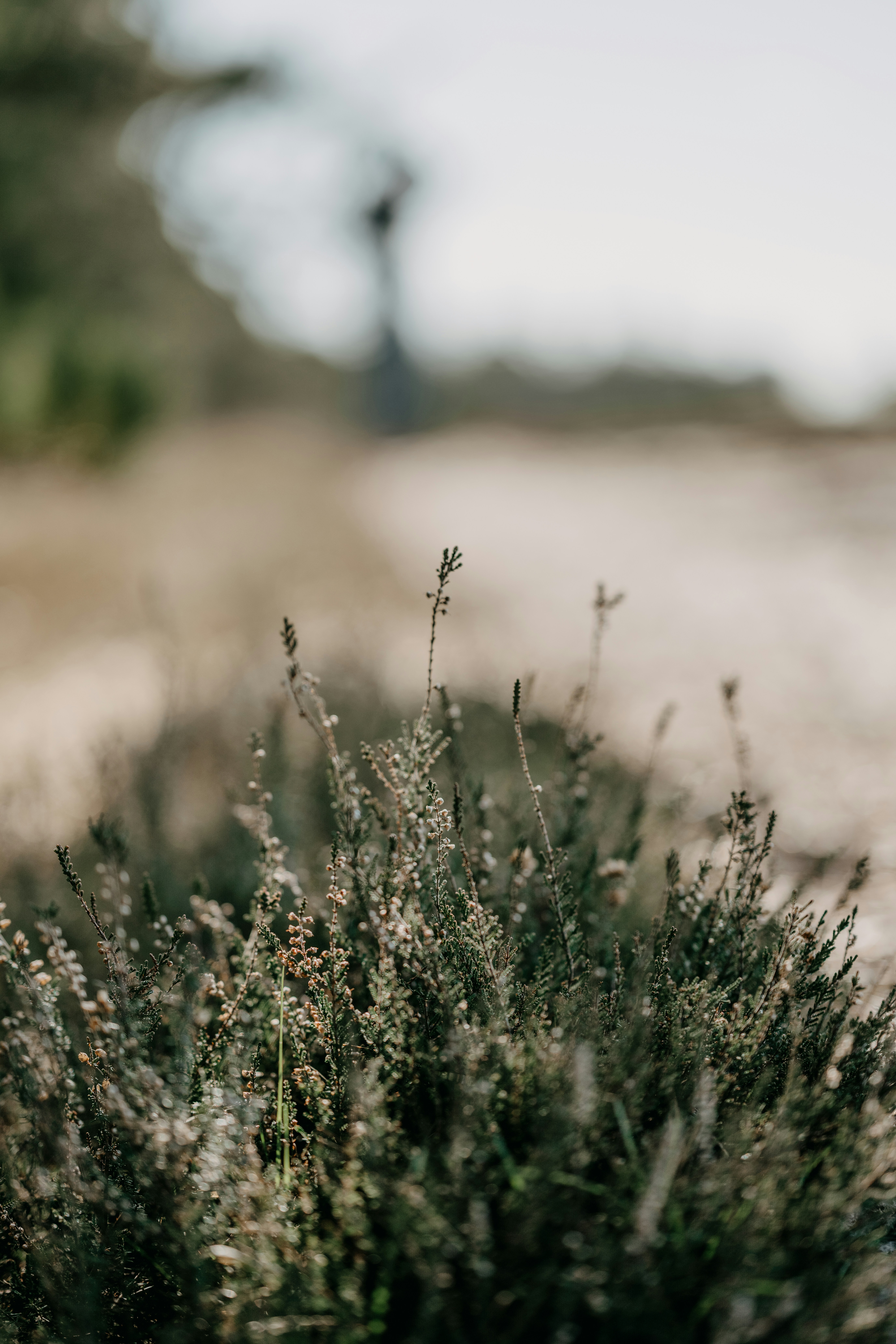 Photo by anniespratt