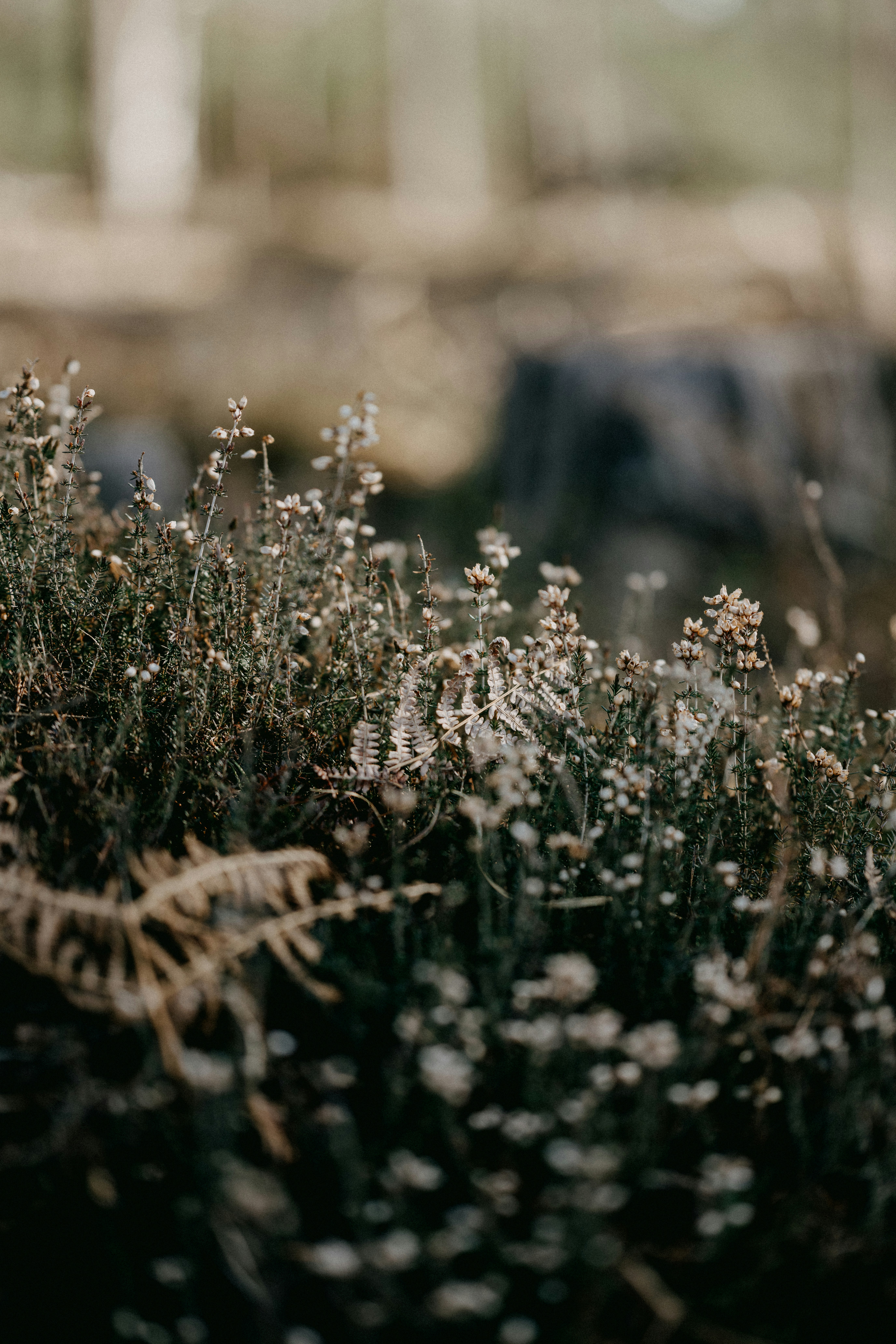 Photo by anniespratt