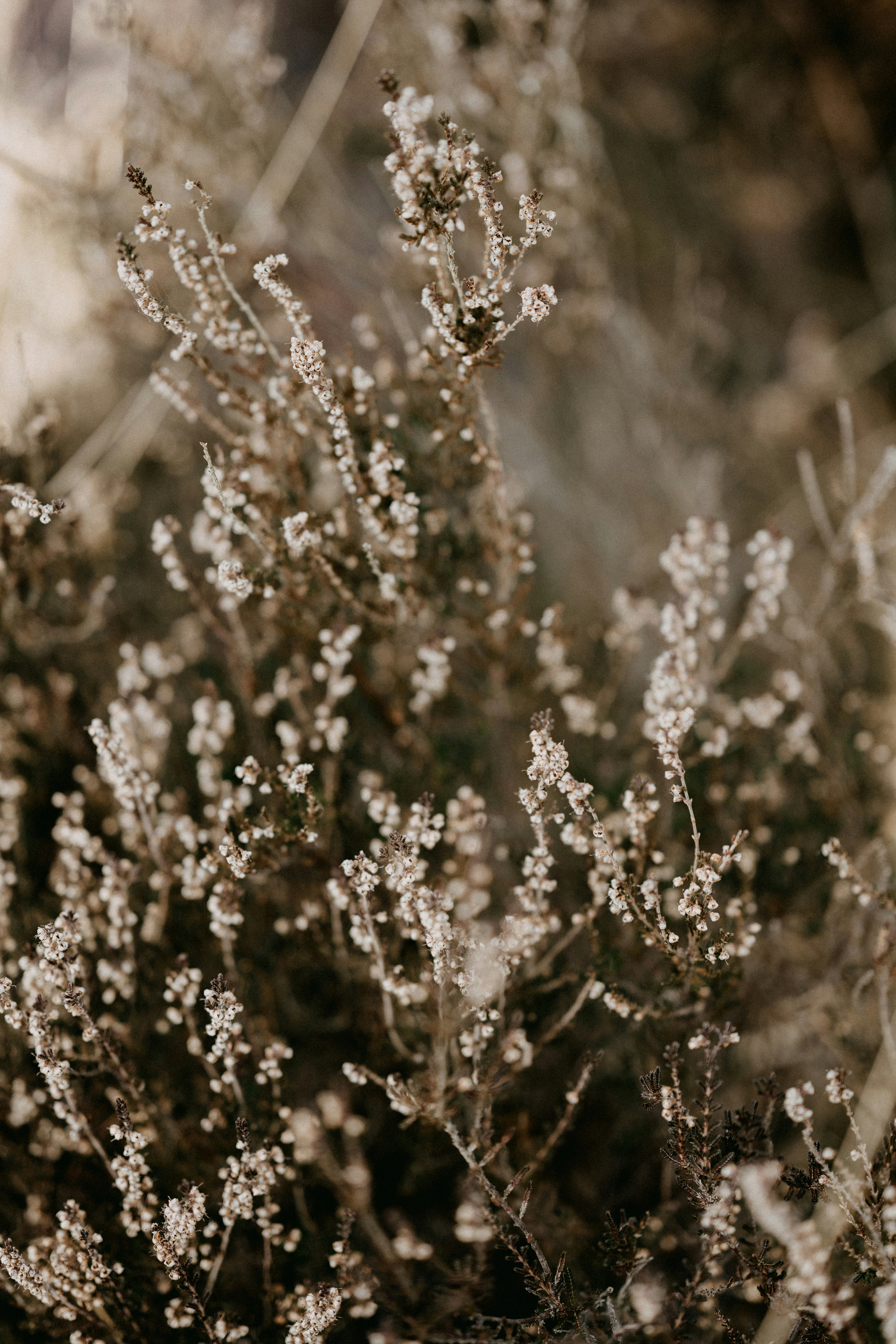 Photo by anniespratt