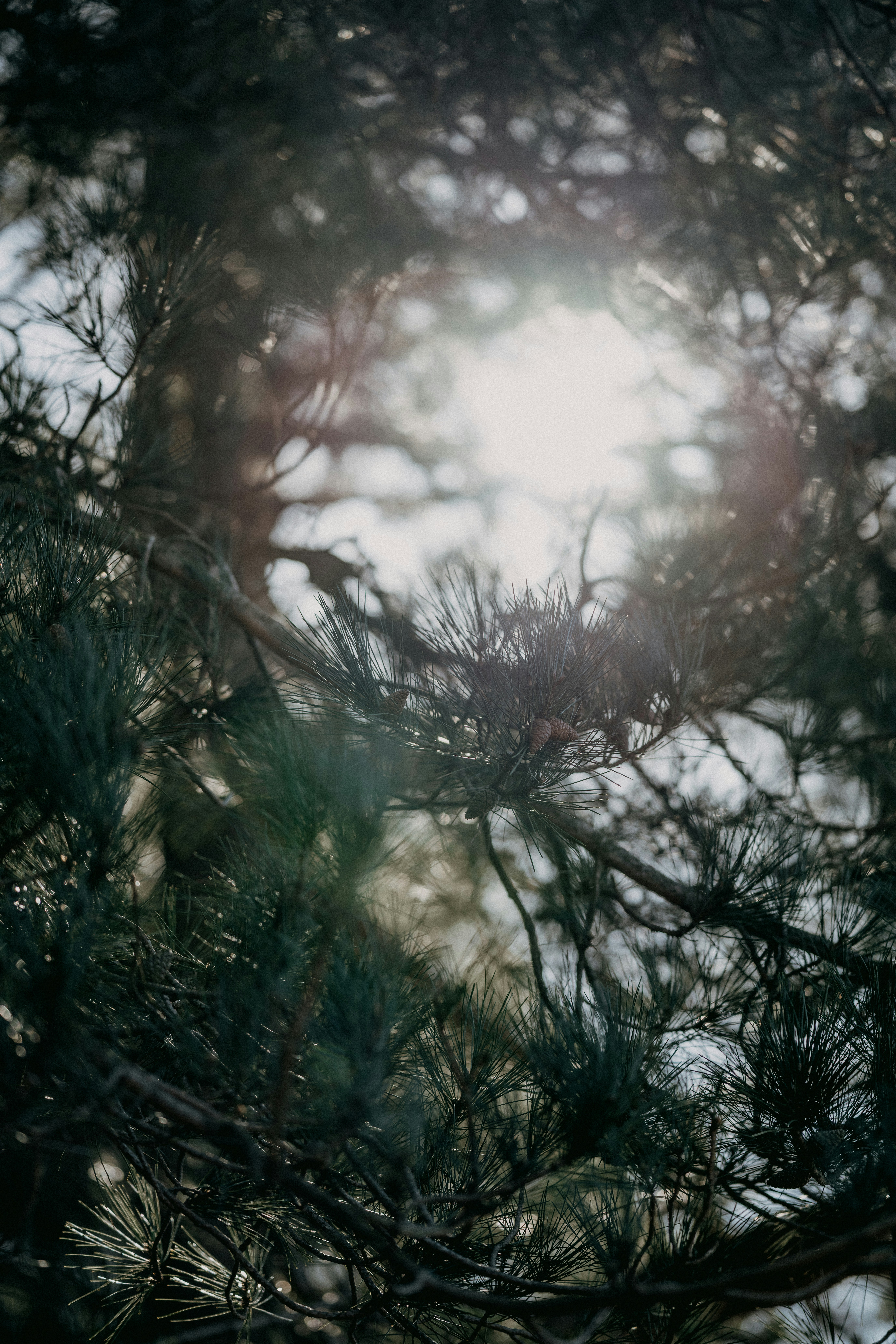 Photo by anniespratt