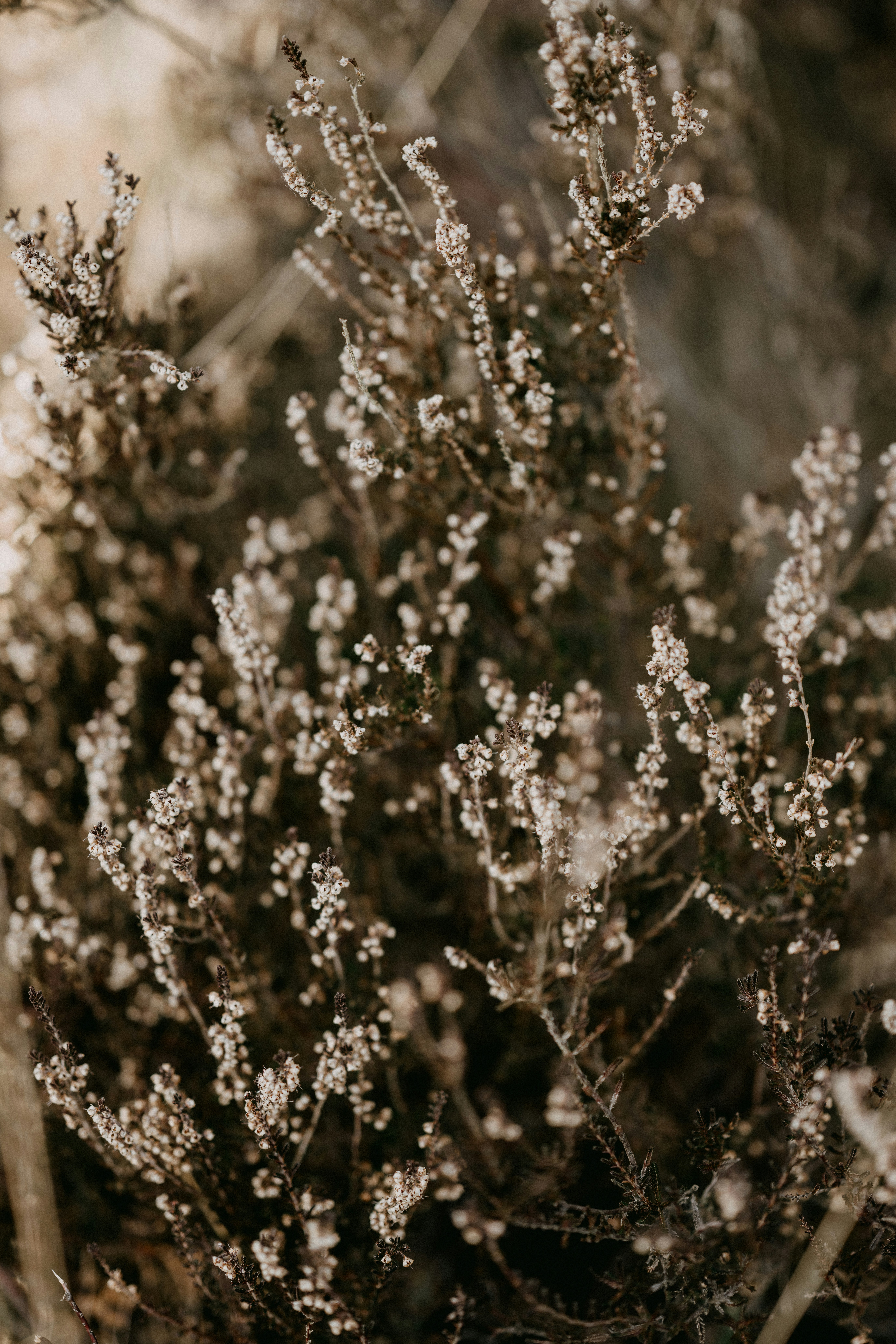 Photo by anniespratt